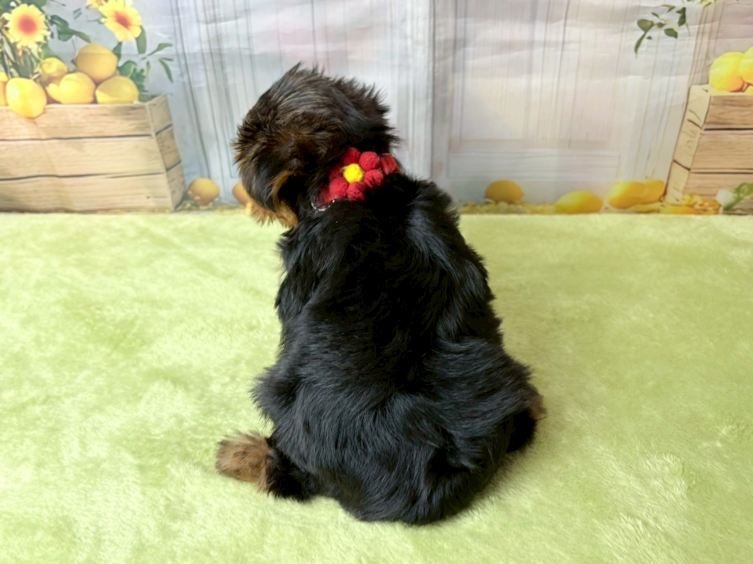 赤ちゃん写真3-3