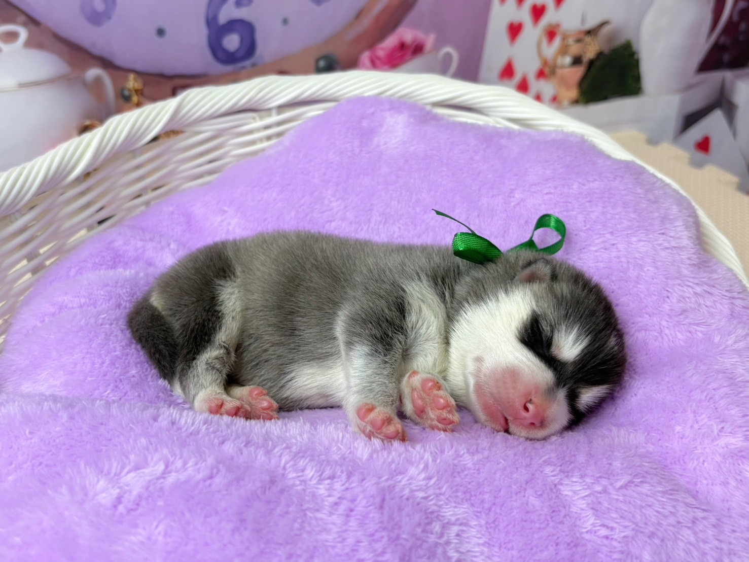 赤ちゃん写真1-2