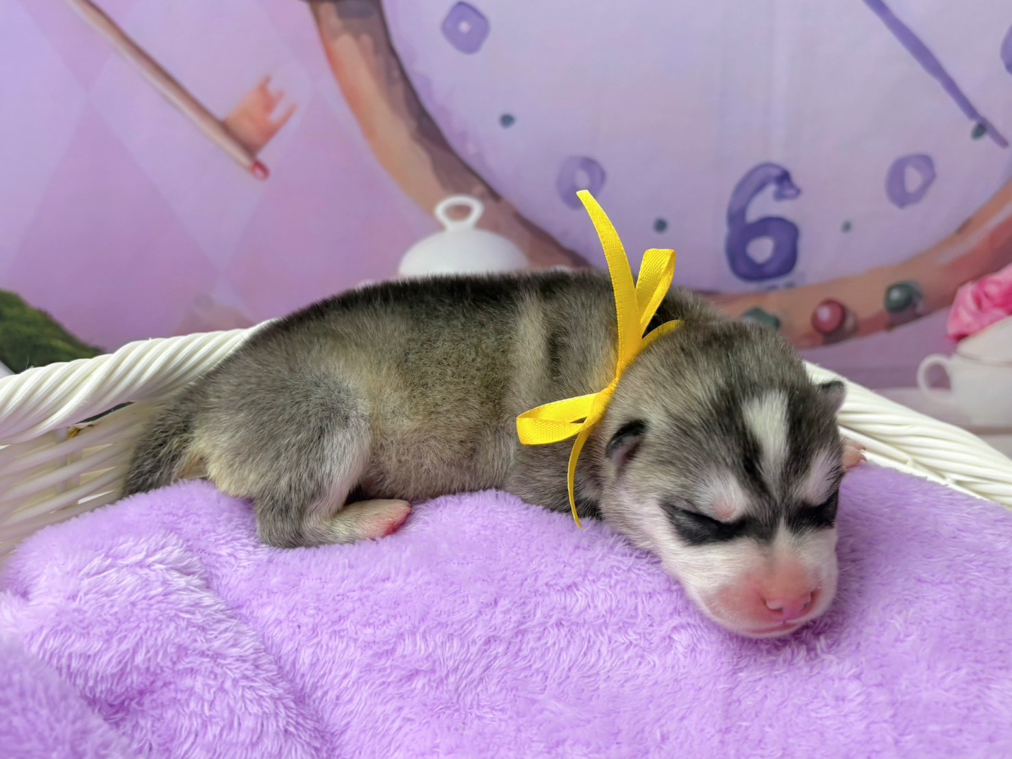 赤ちゃん写真1-2