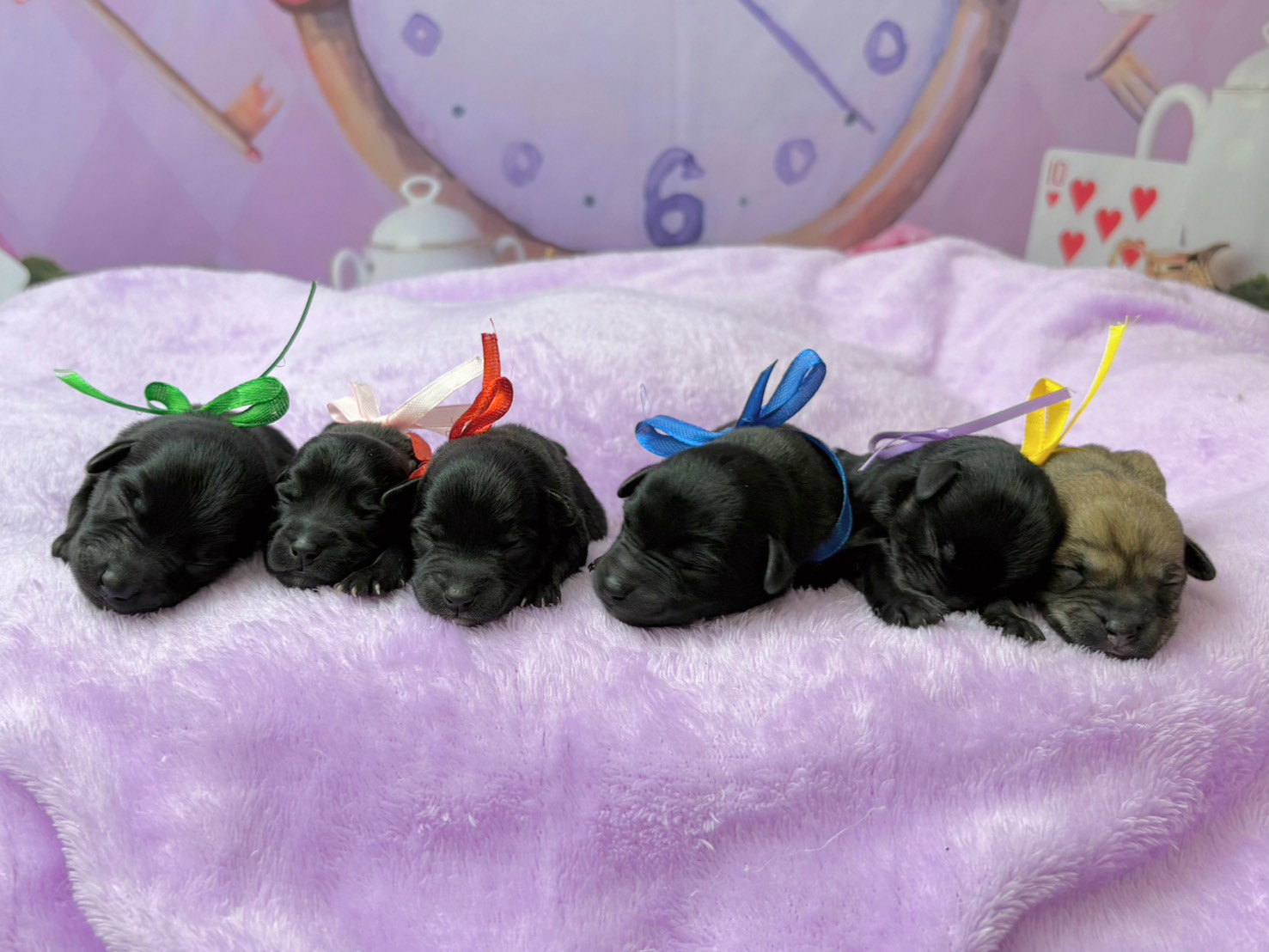 赤ちゃん写真1-3
