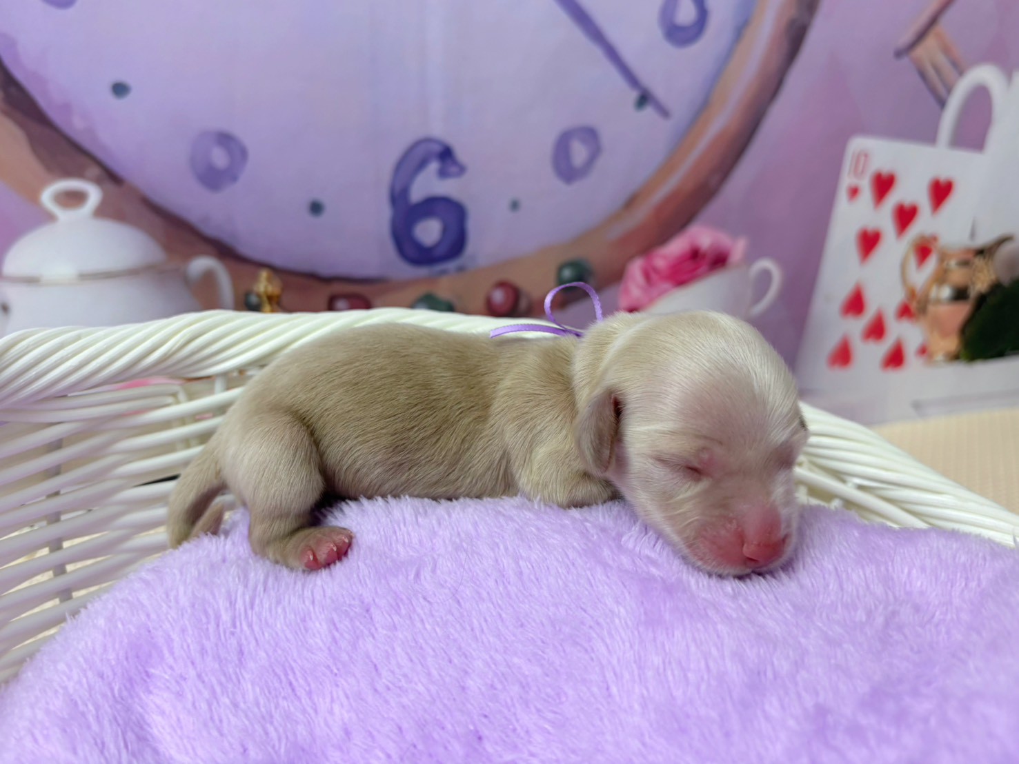 赤ちゃん写真1-2