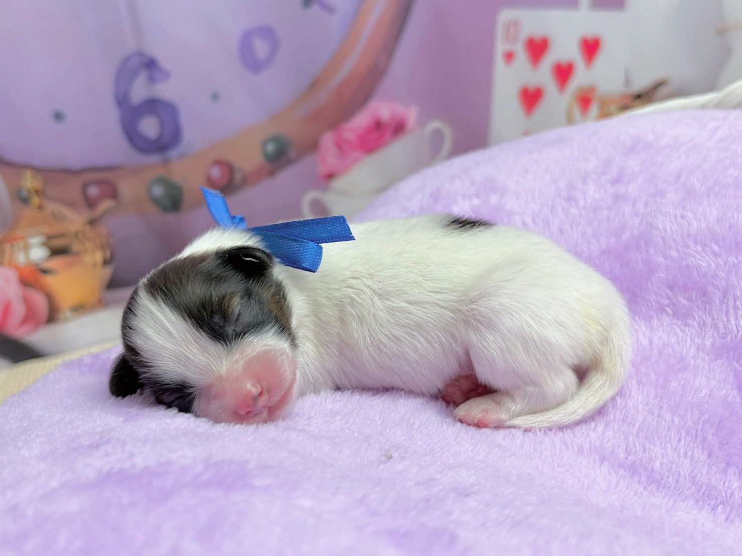 赤ちゃん写真1-2