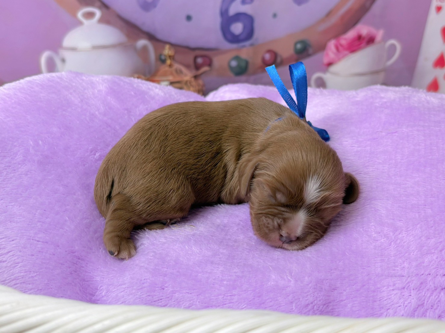 赤ちゃん写真1-2