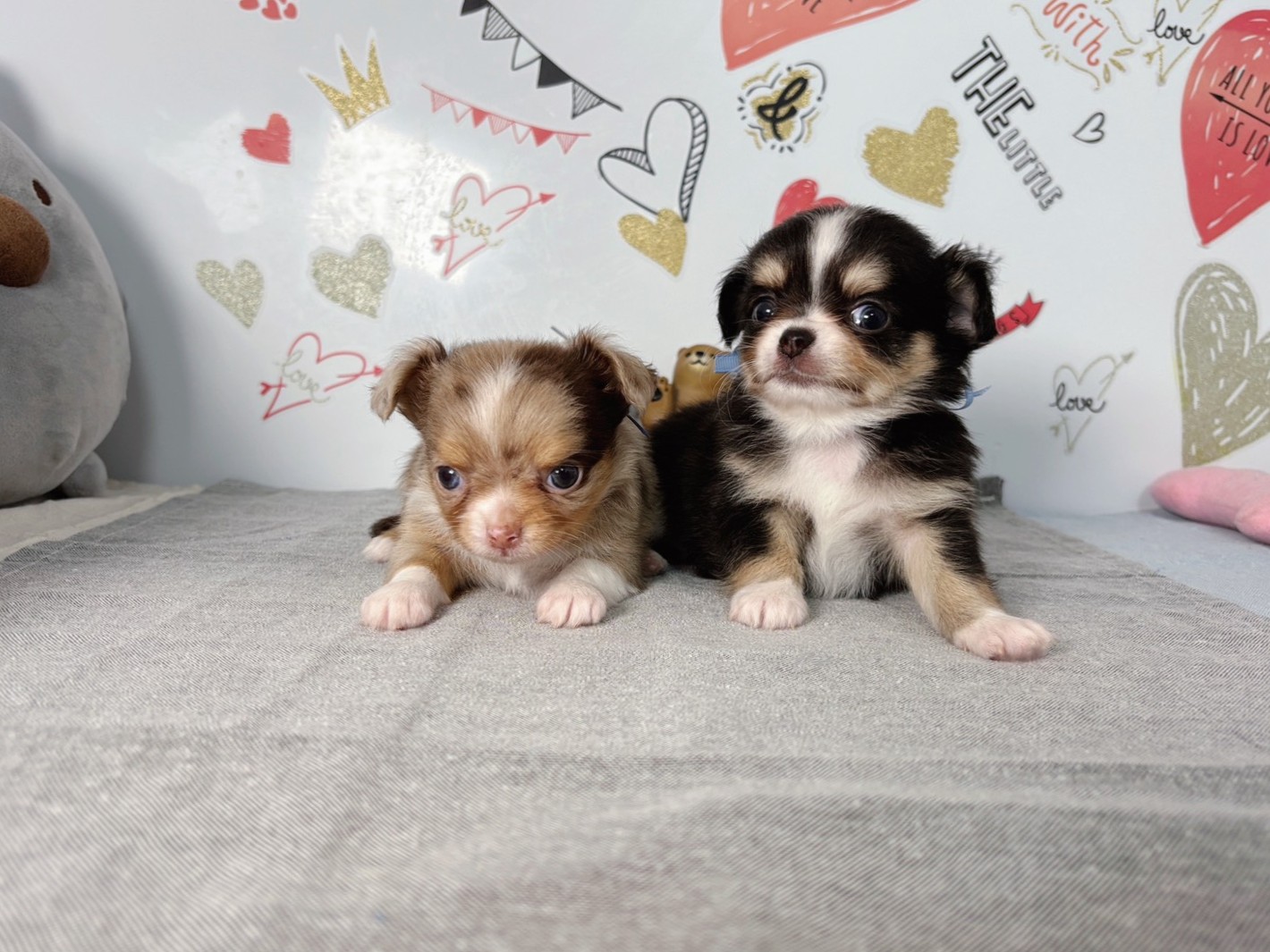 赤ちゃん写真2-3