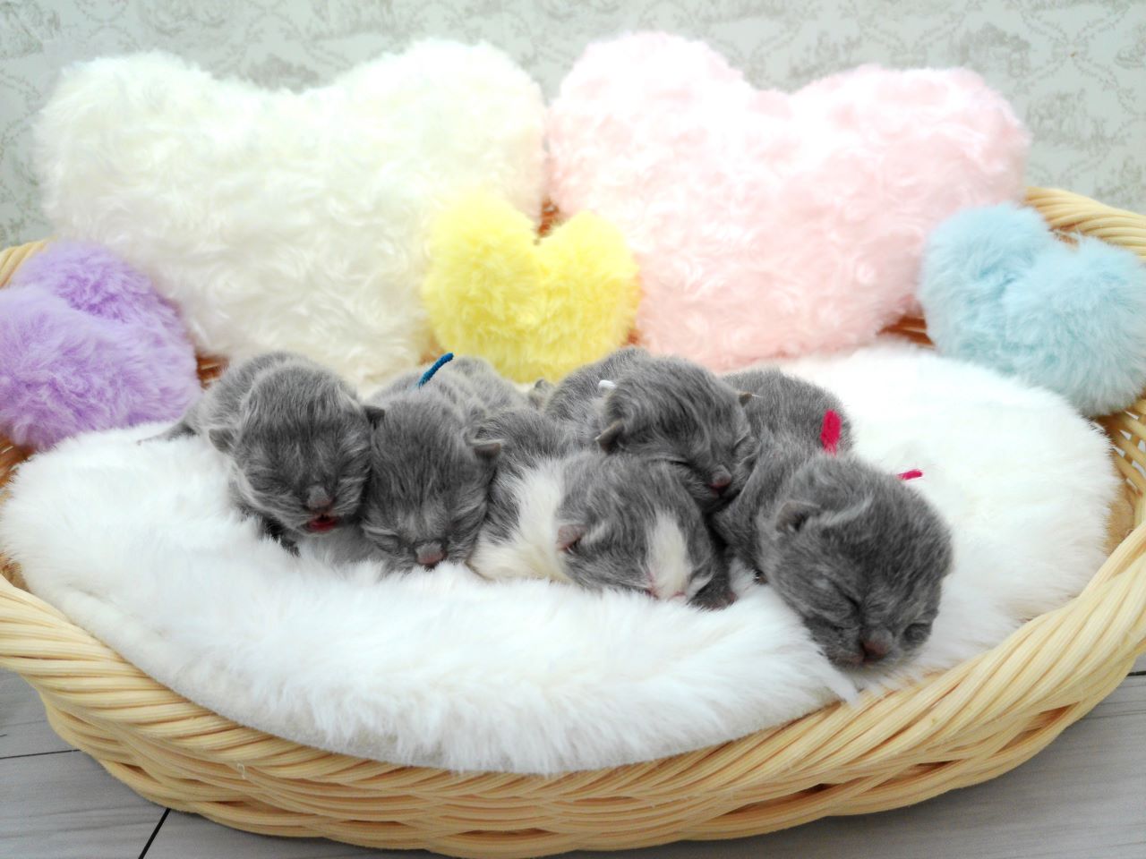 赤ちゃん写真1-3