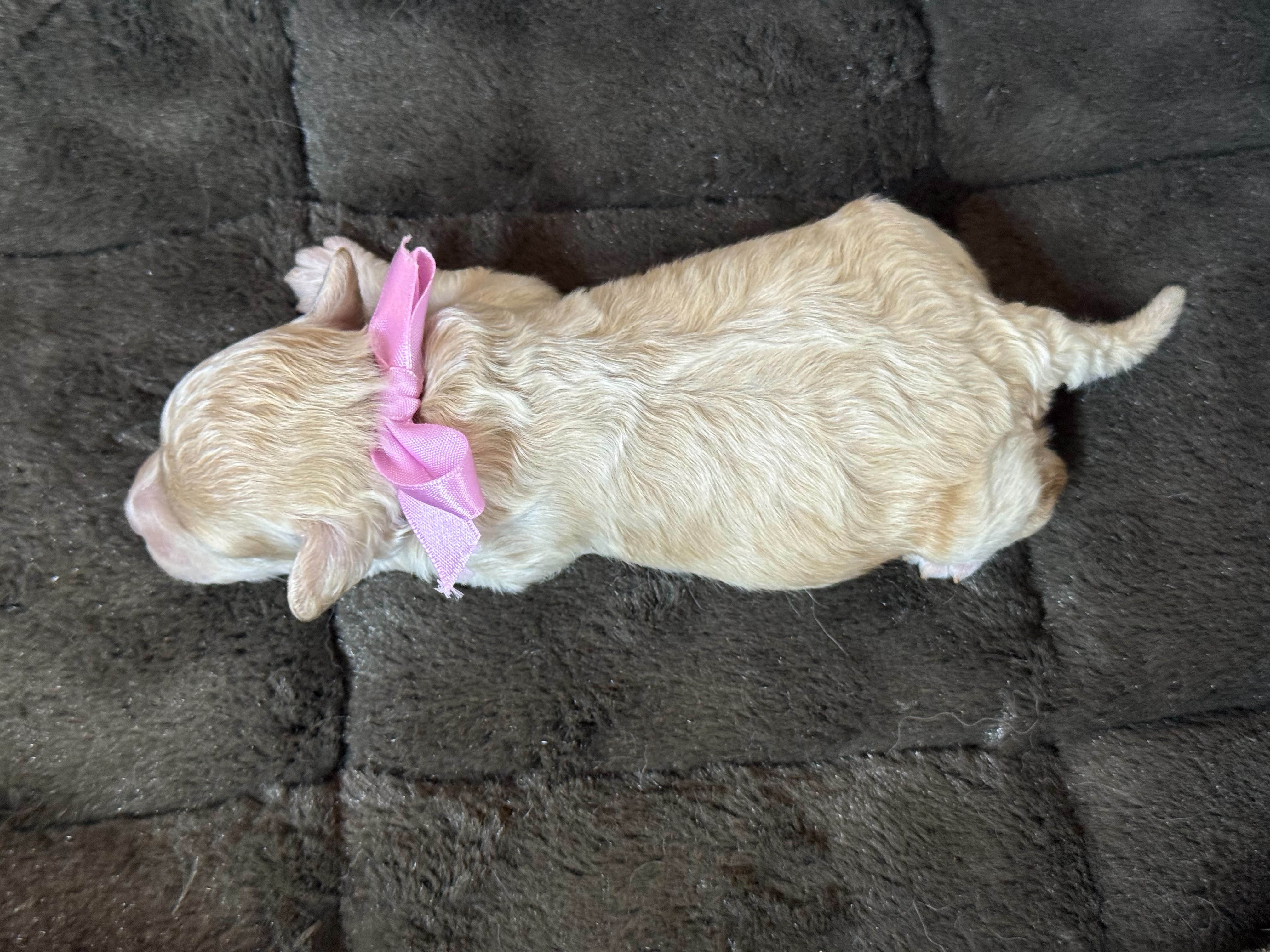 赤ちゃん写真1-3