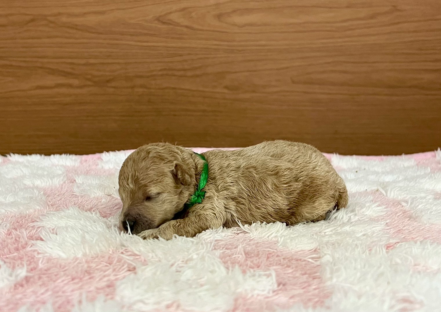 赤ちゃん写真1-2