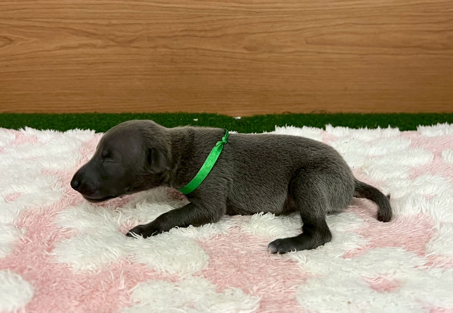 赤ちゃん写真1-2