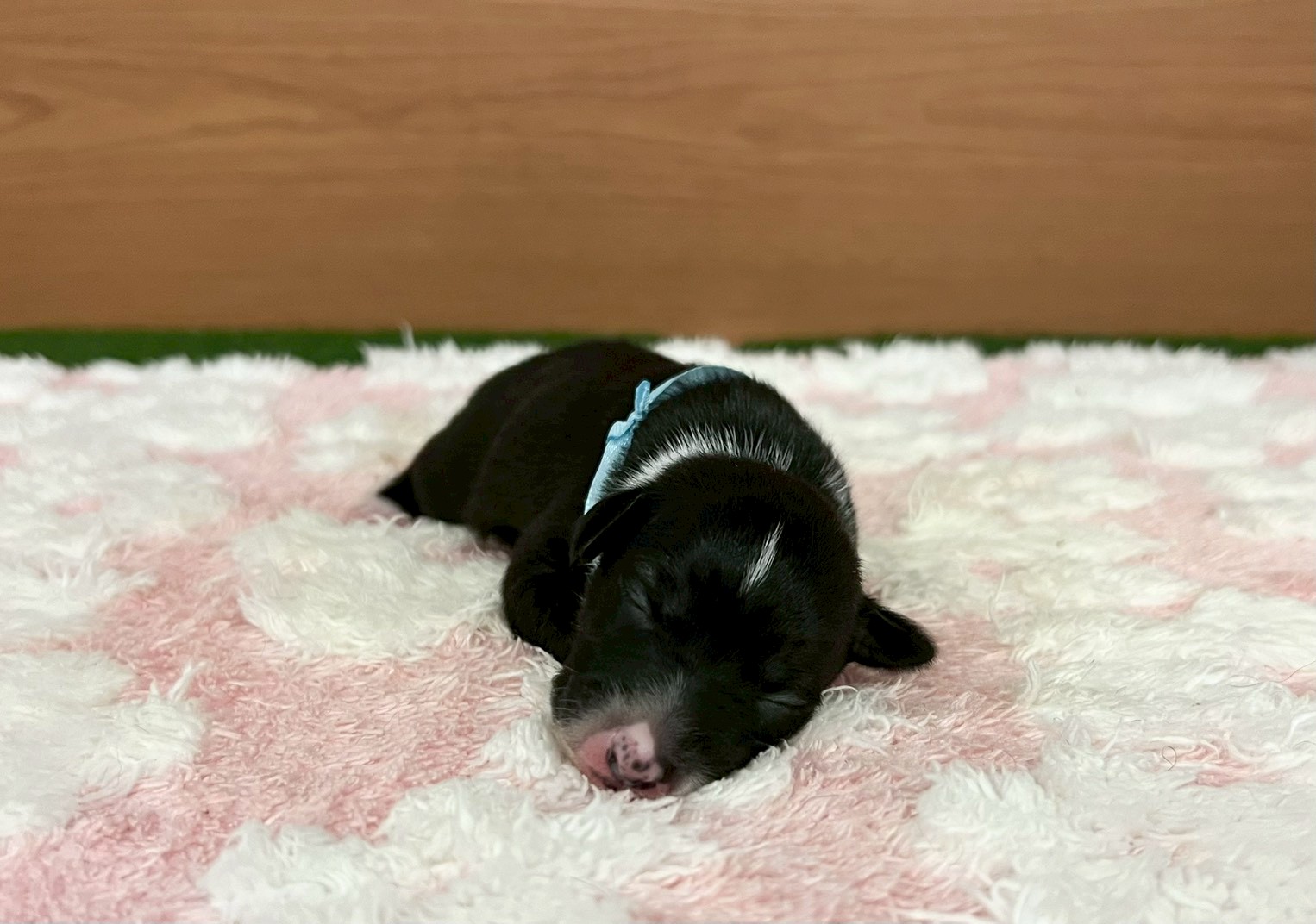 赤ちゃん写真1-1