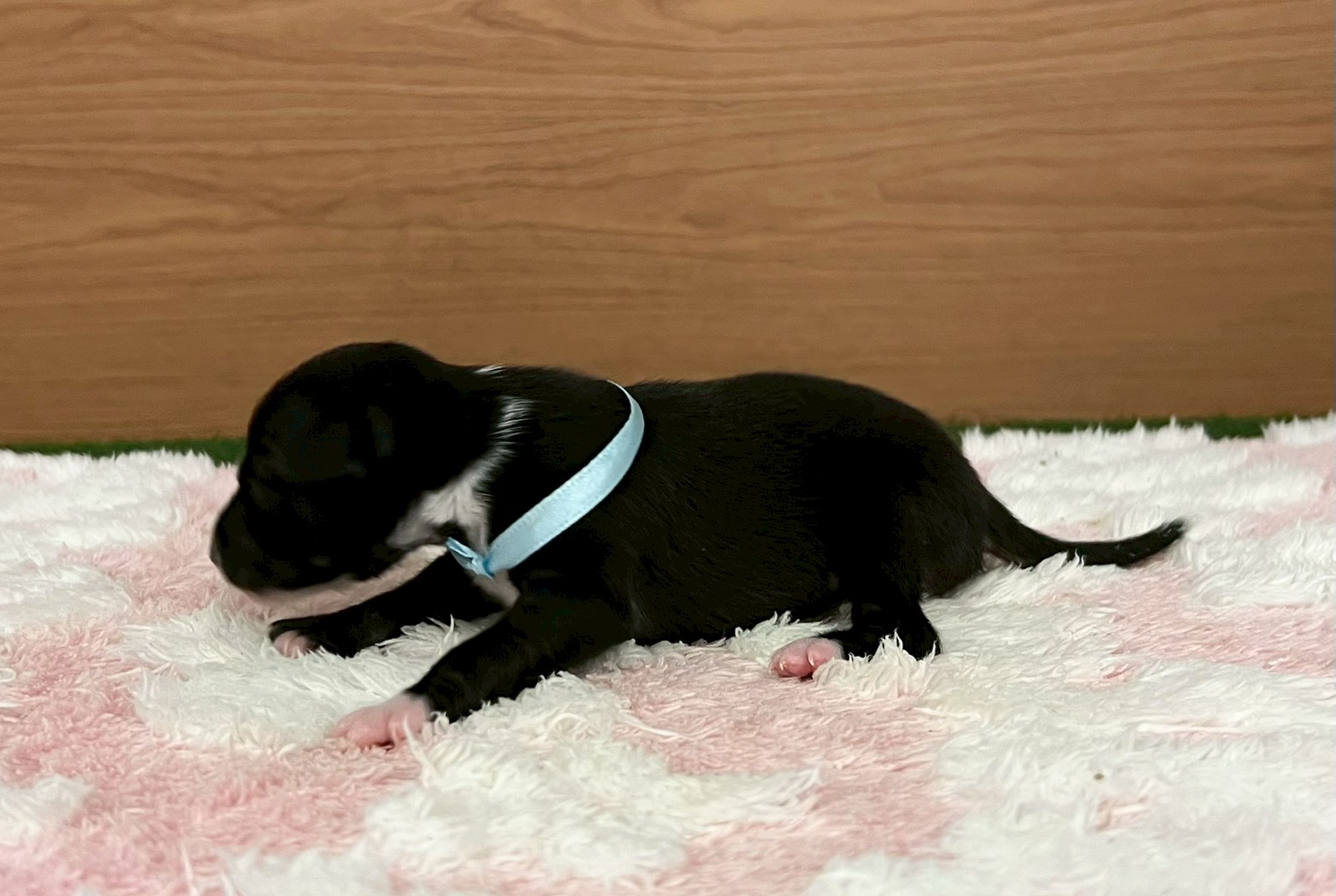 赤ちゃん写真1-2