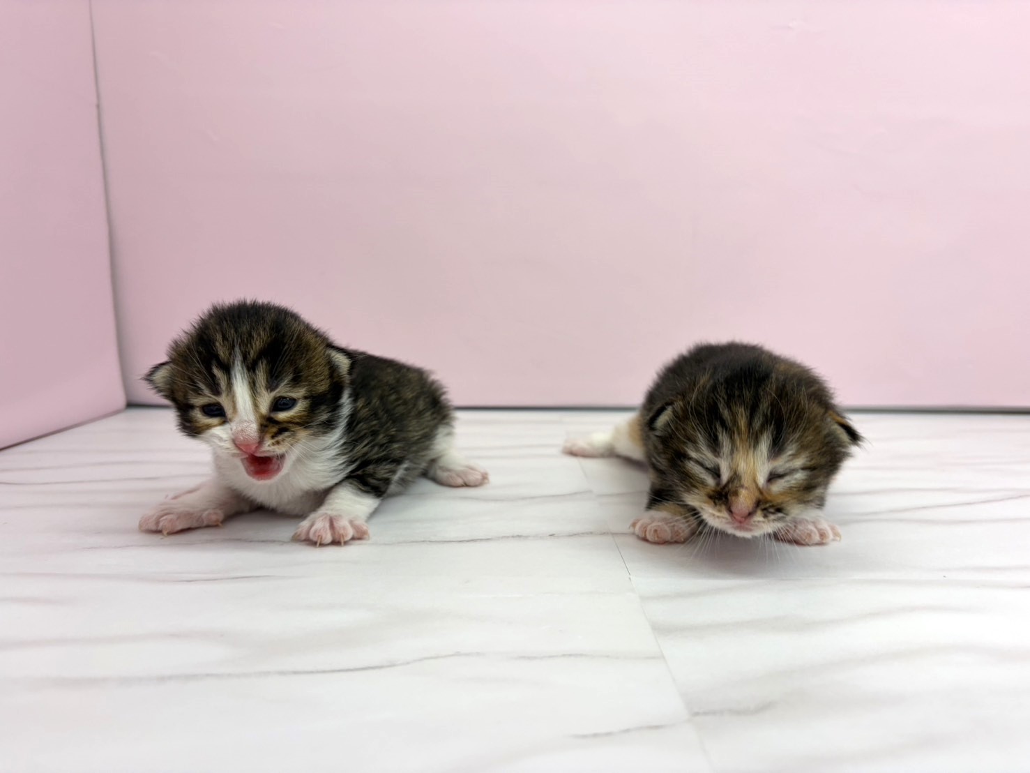 赤ちゃん写真1-3