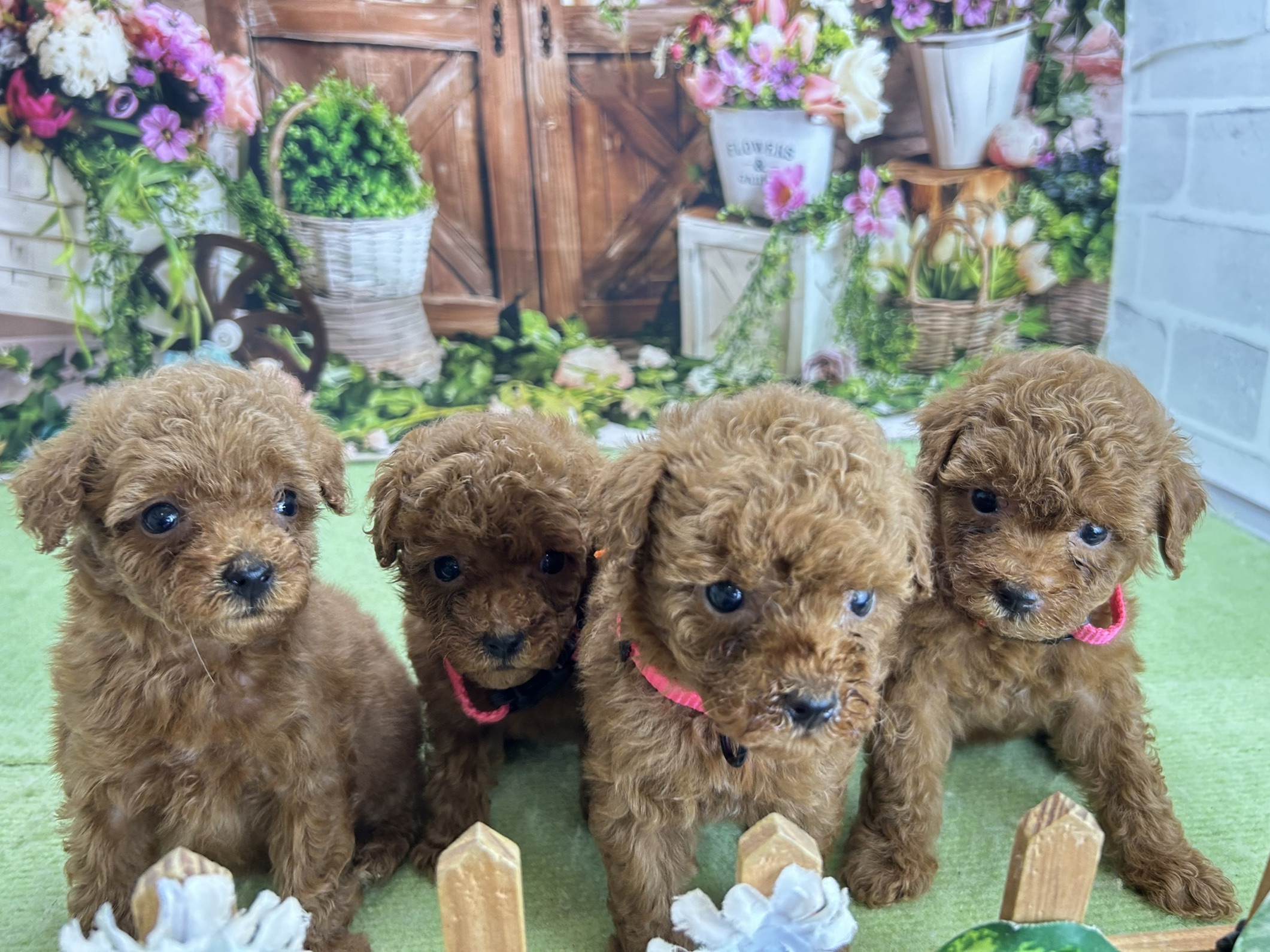 赤ちゃん写真2-3