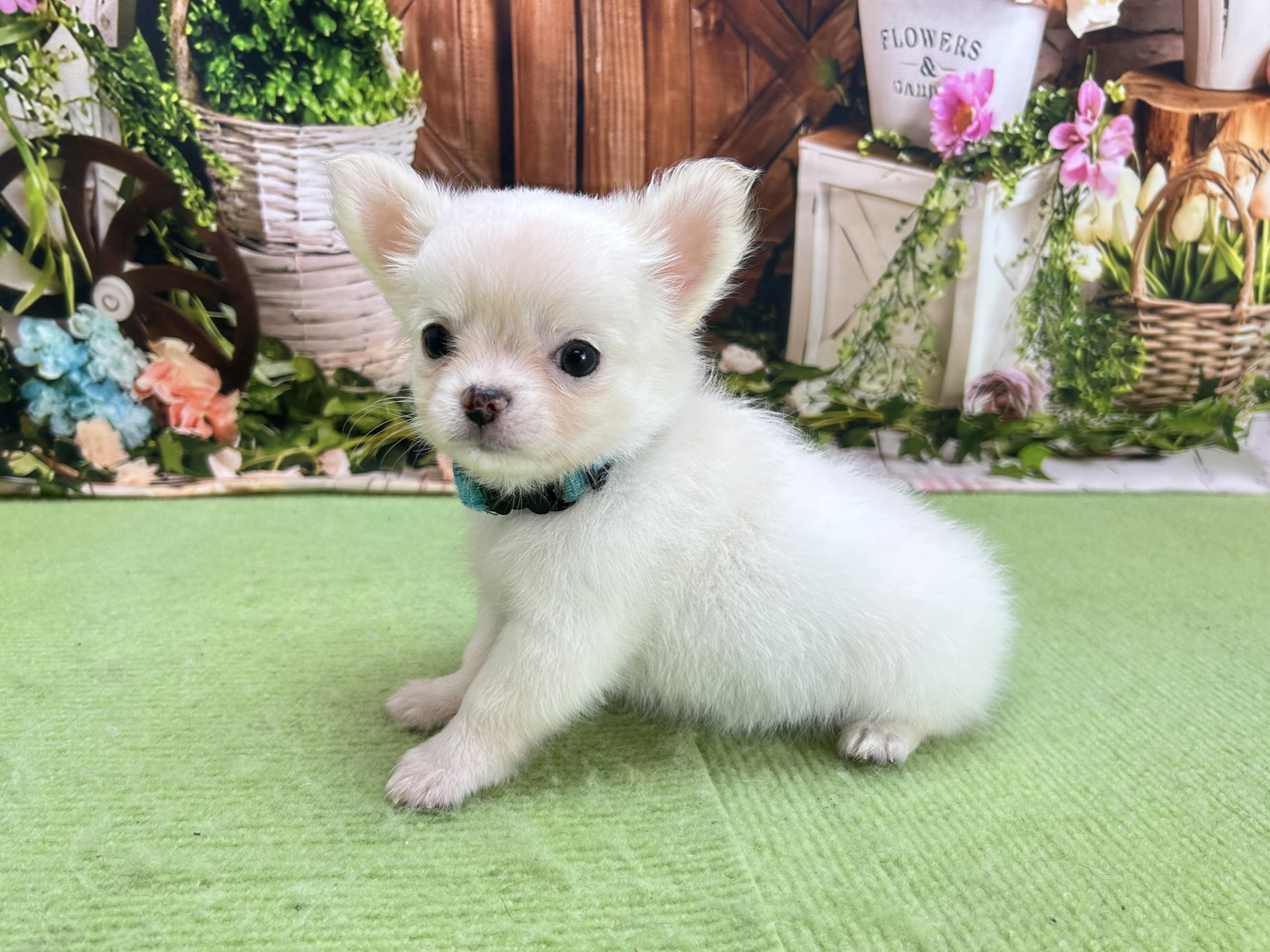 赤ちゃん写真3-2