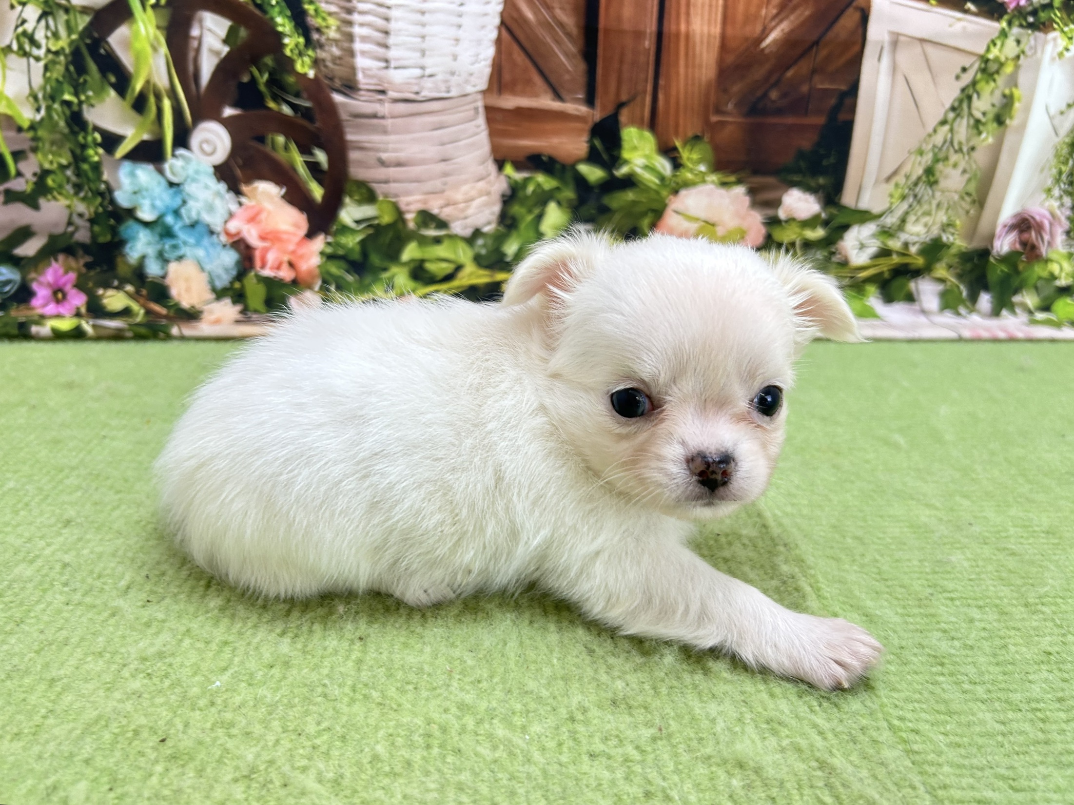 赤ちゃん写真2-2