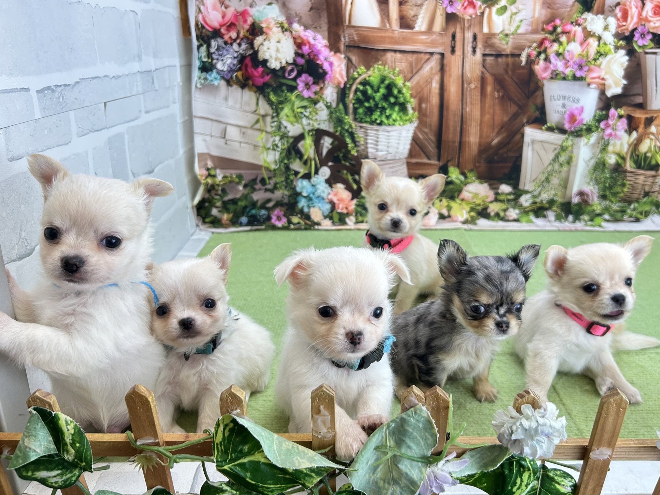 赤ちゃん写真2-3