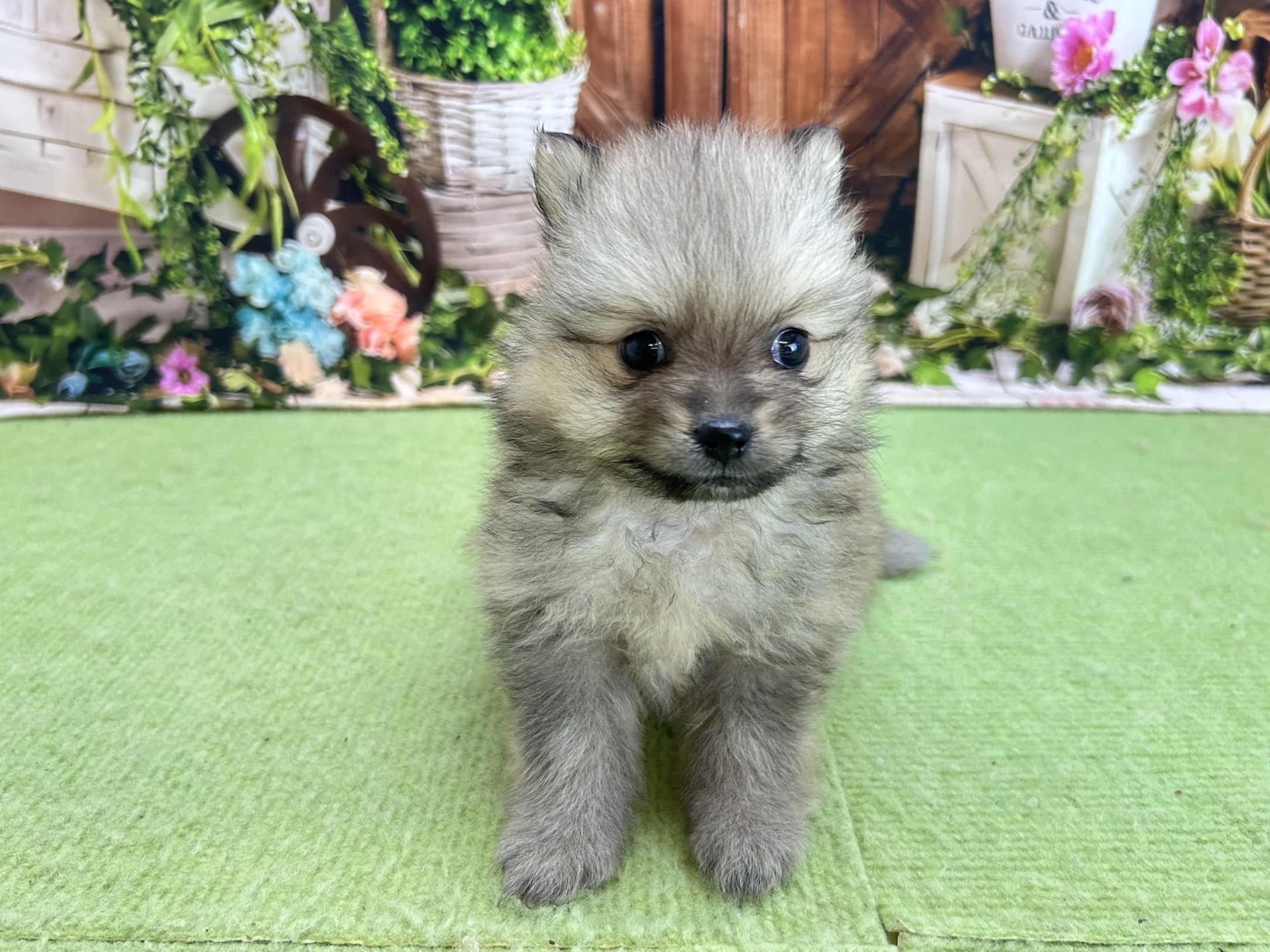 赤ちゃん写真2-1