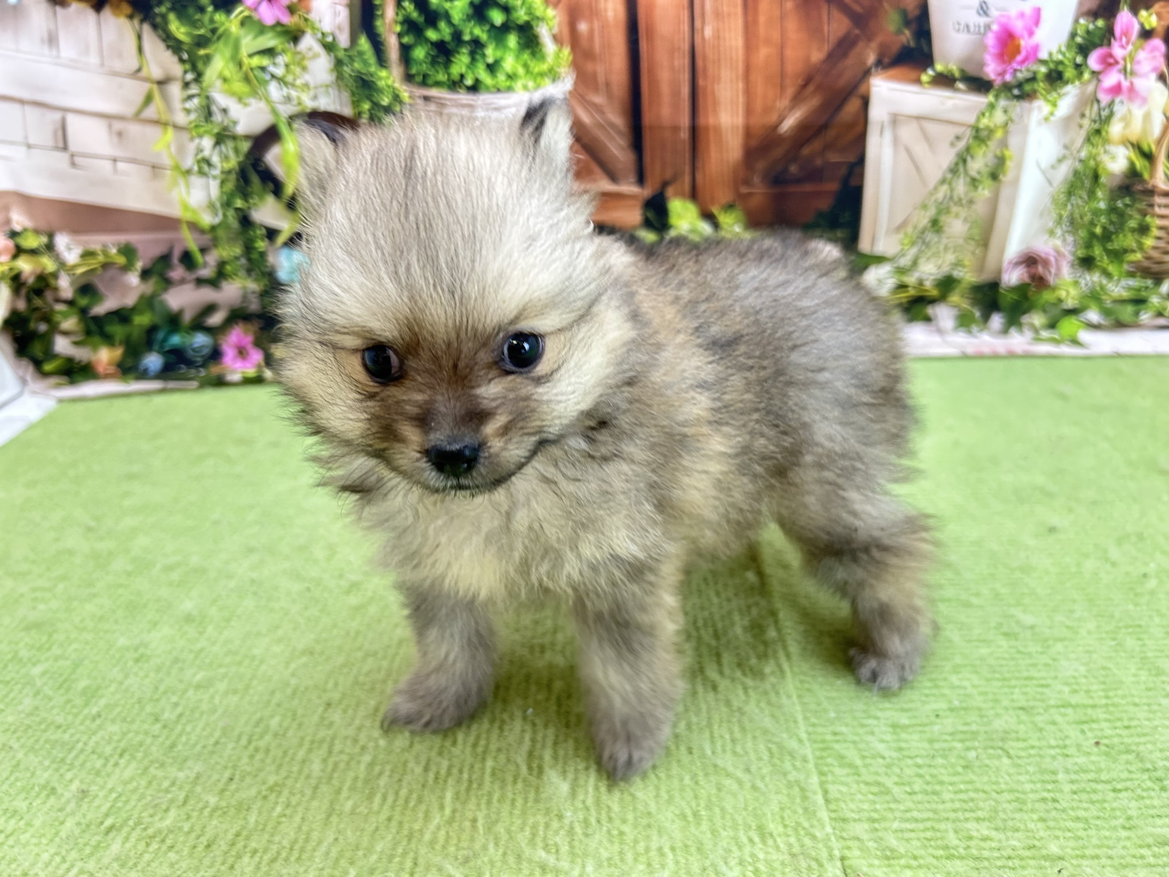 赤ちゃん写真2-2