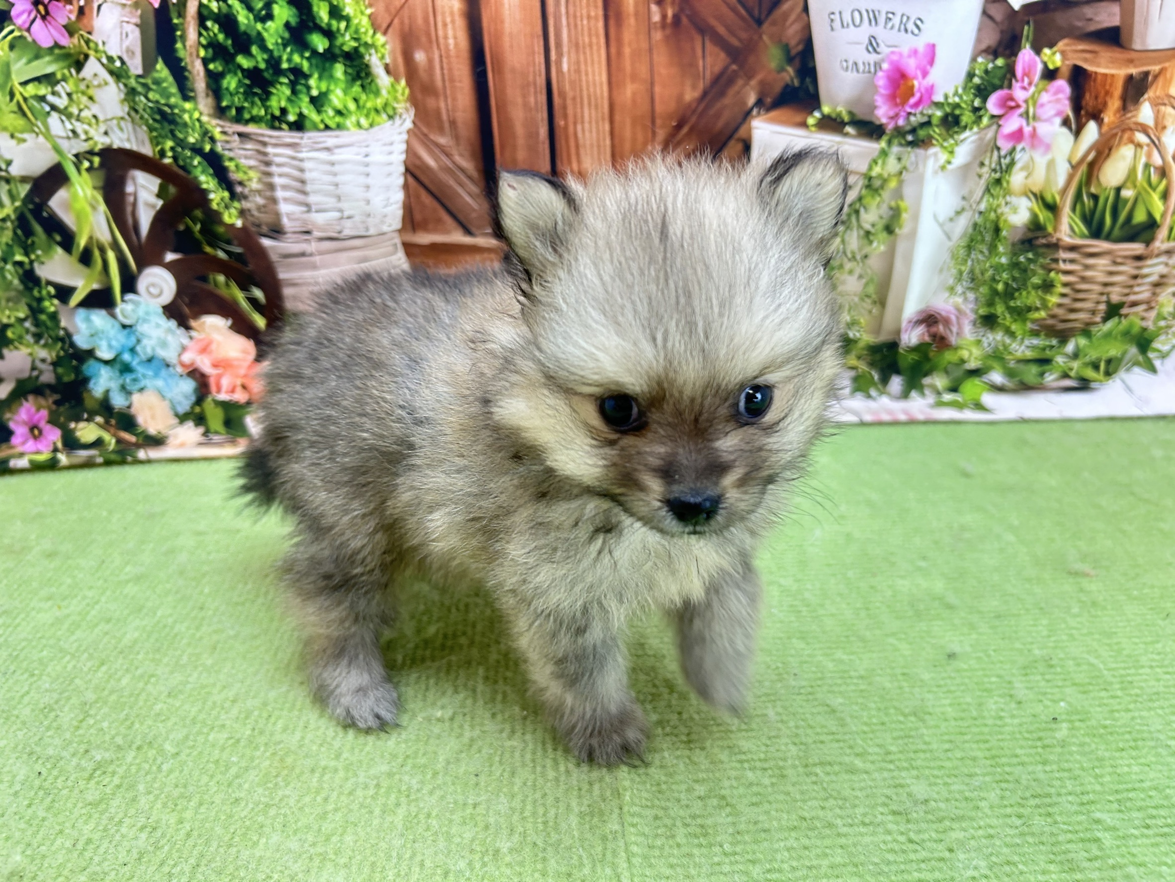 赤ちゃん写真2-3
