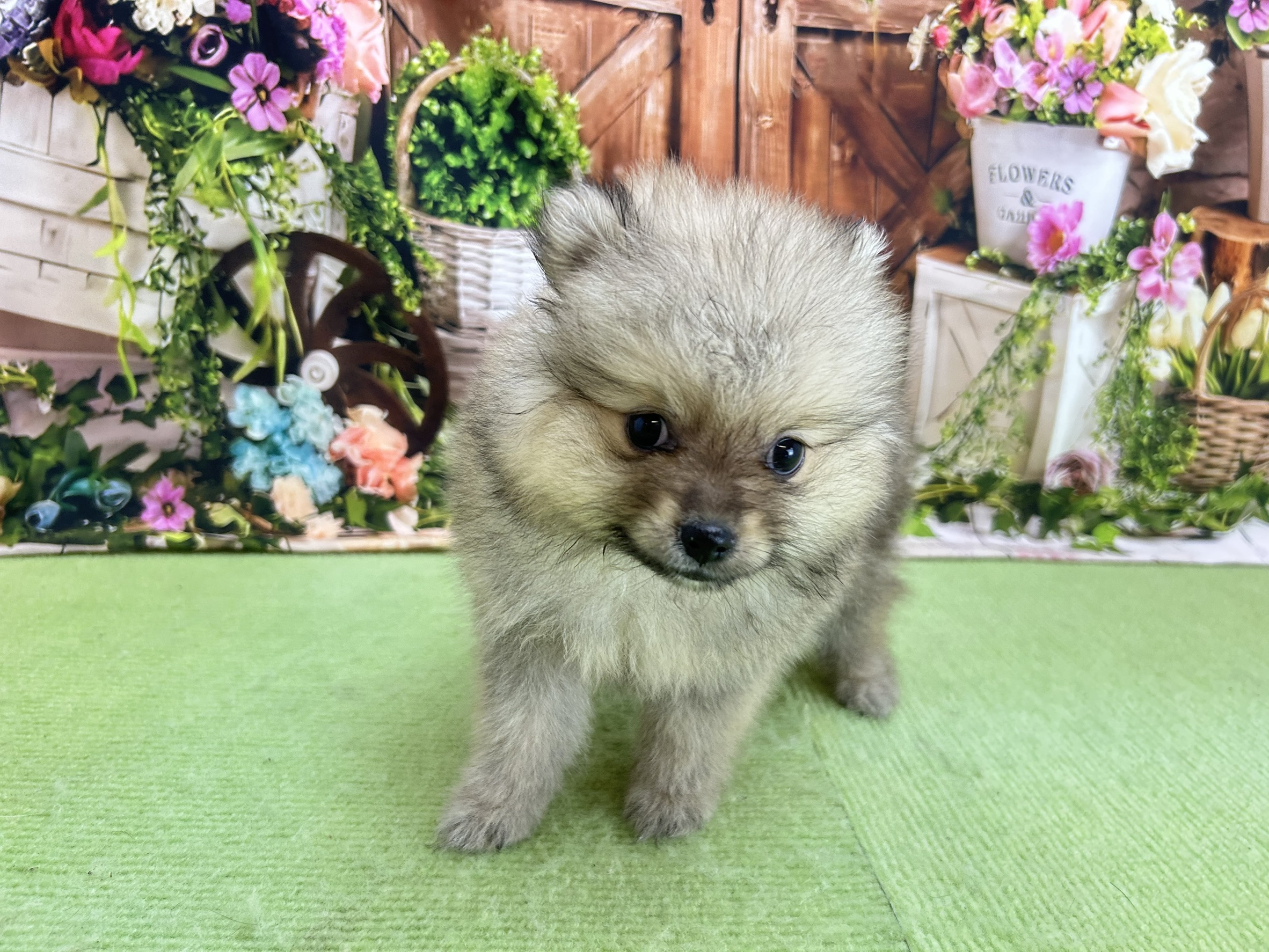 赤ちゃん写真3-1