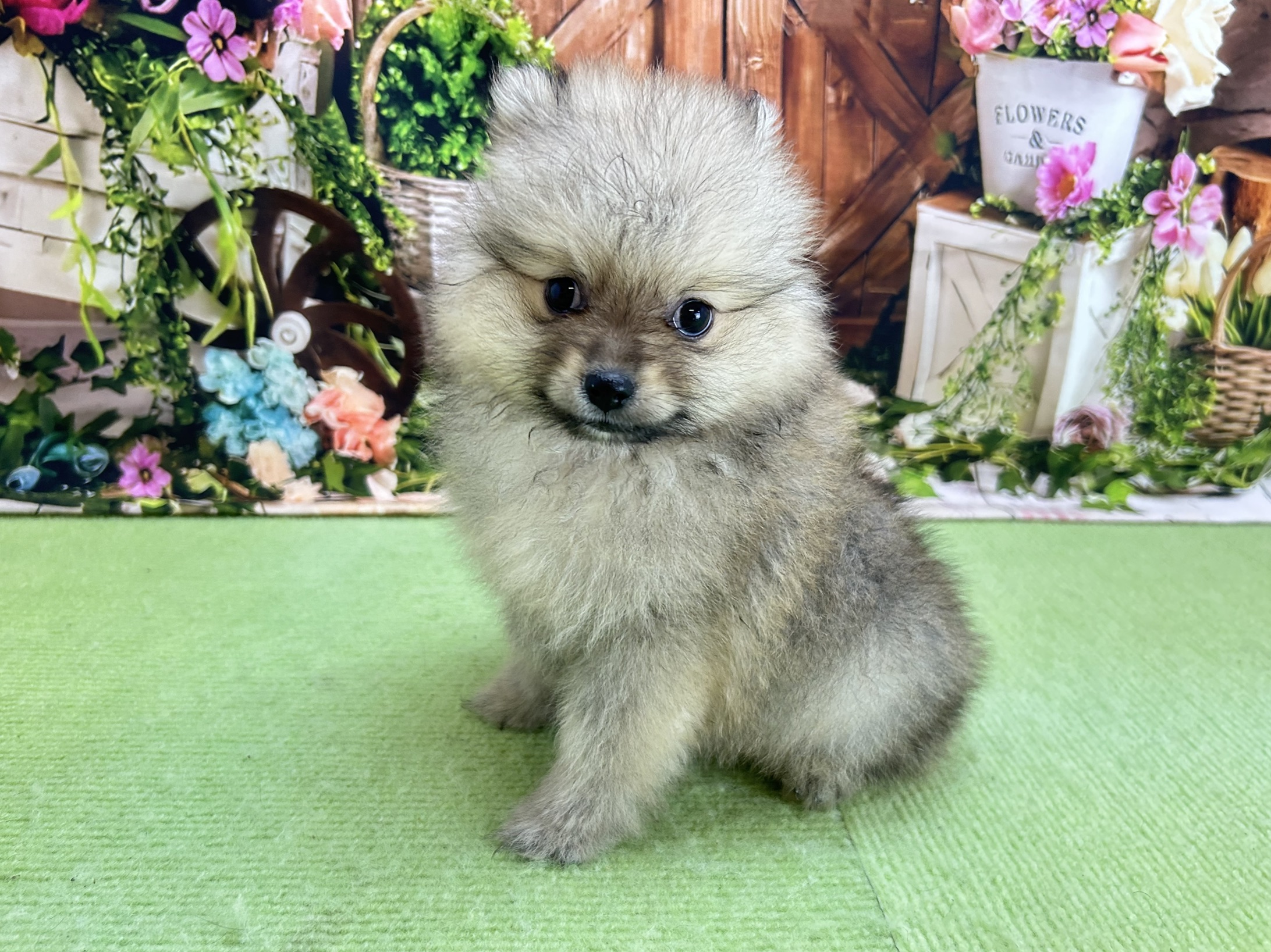 赤ちゃん写真3-2