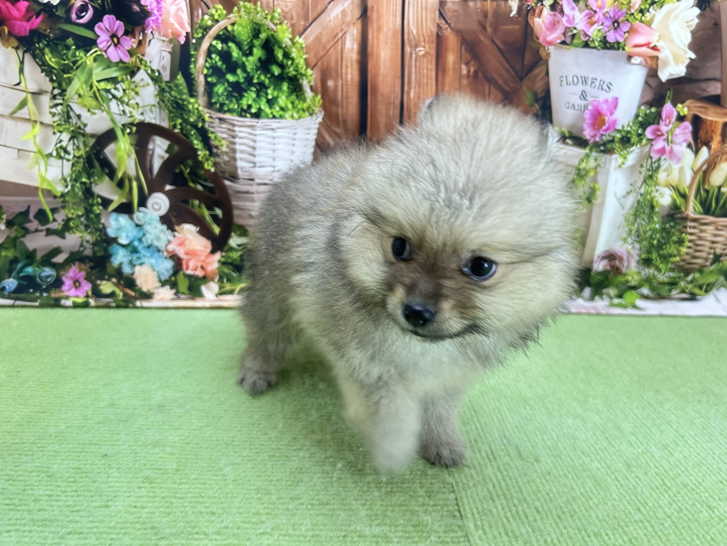 赤ちゃん写真3-3