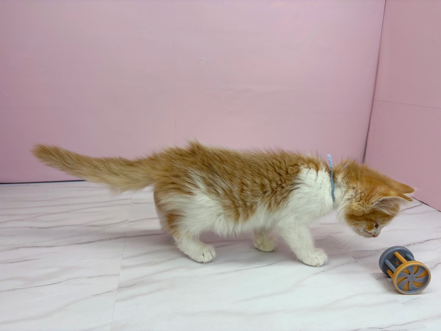 赤ちゃん写真2-2