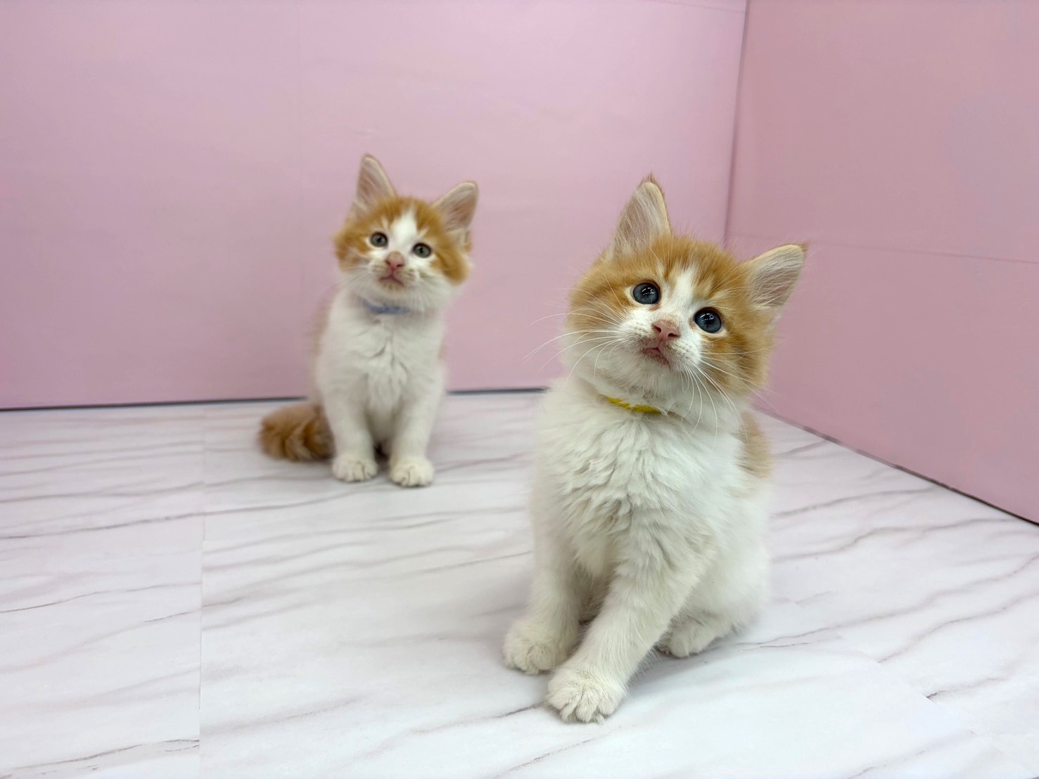 赤ちゃん写真2-3