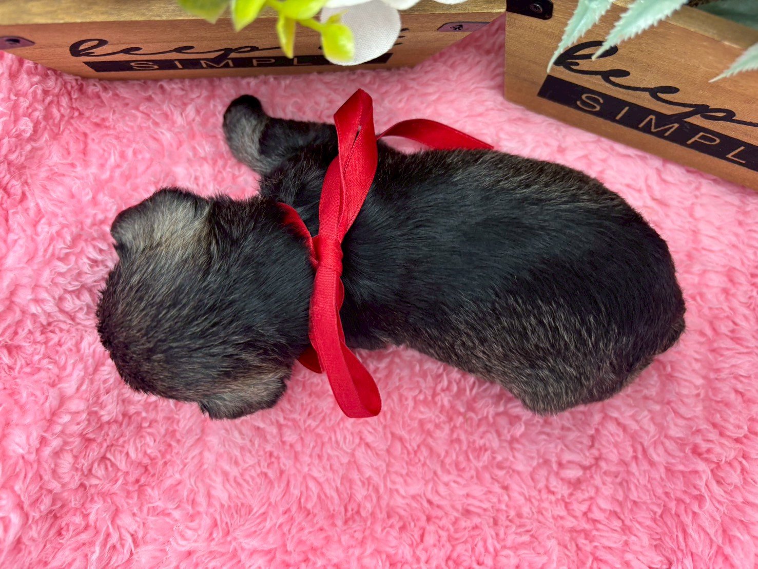 赤ちゃん写真2-3