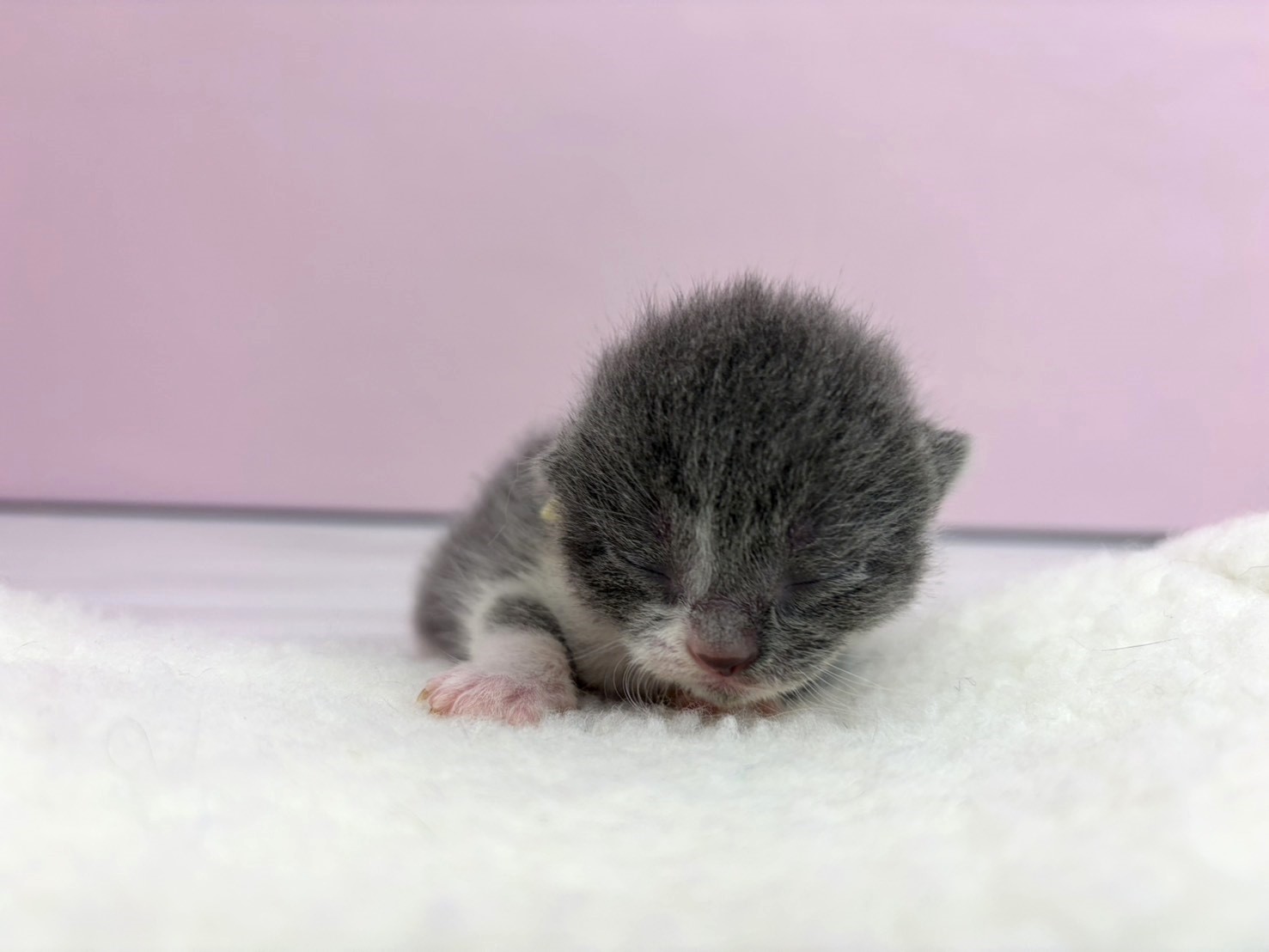 赤ちゃん写真1-1