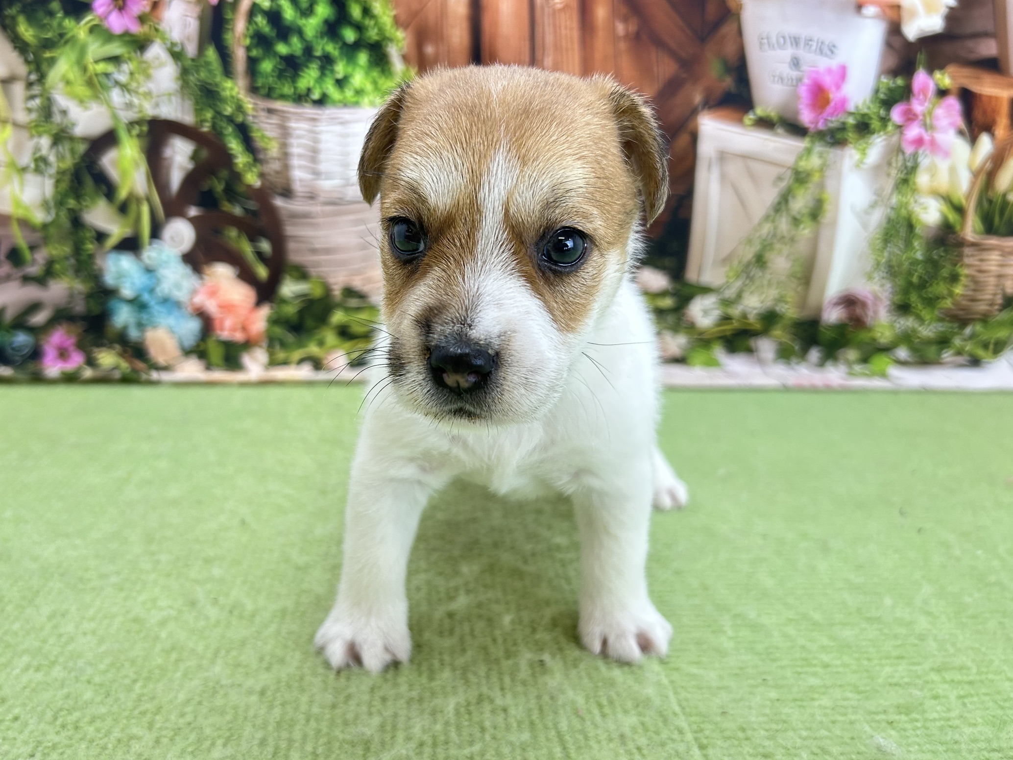赤ちゃん写真2-1