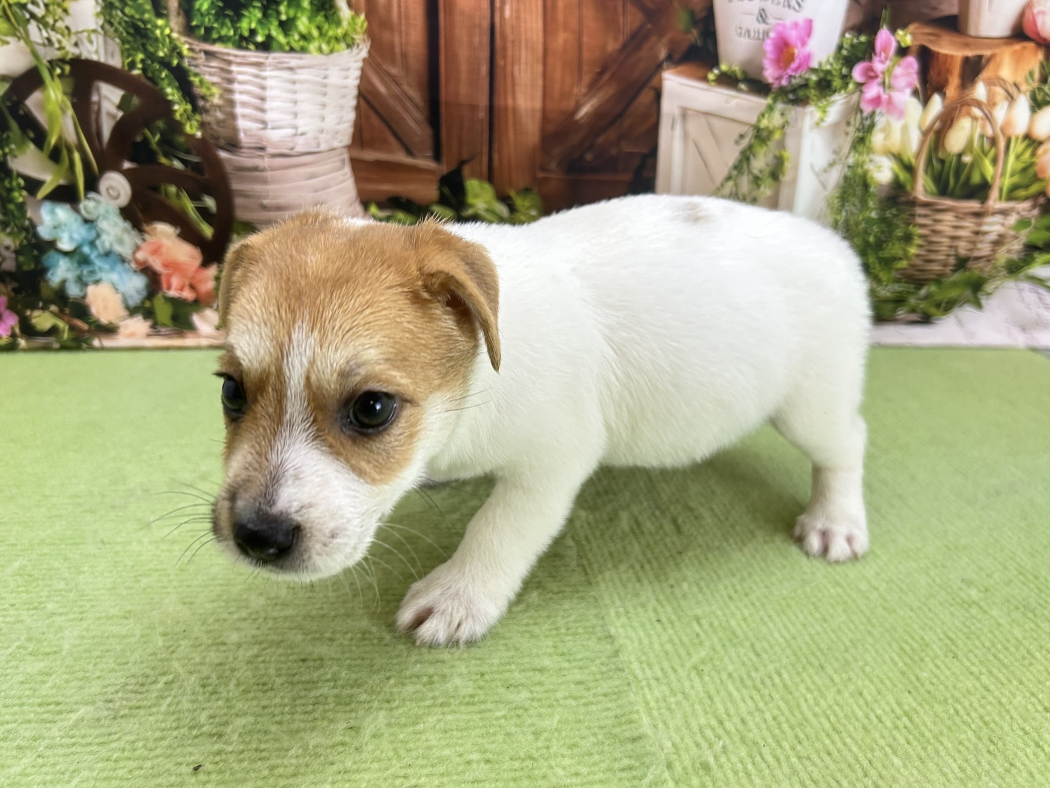 赤ちゃん写真3-3