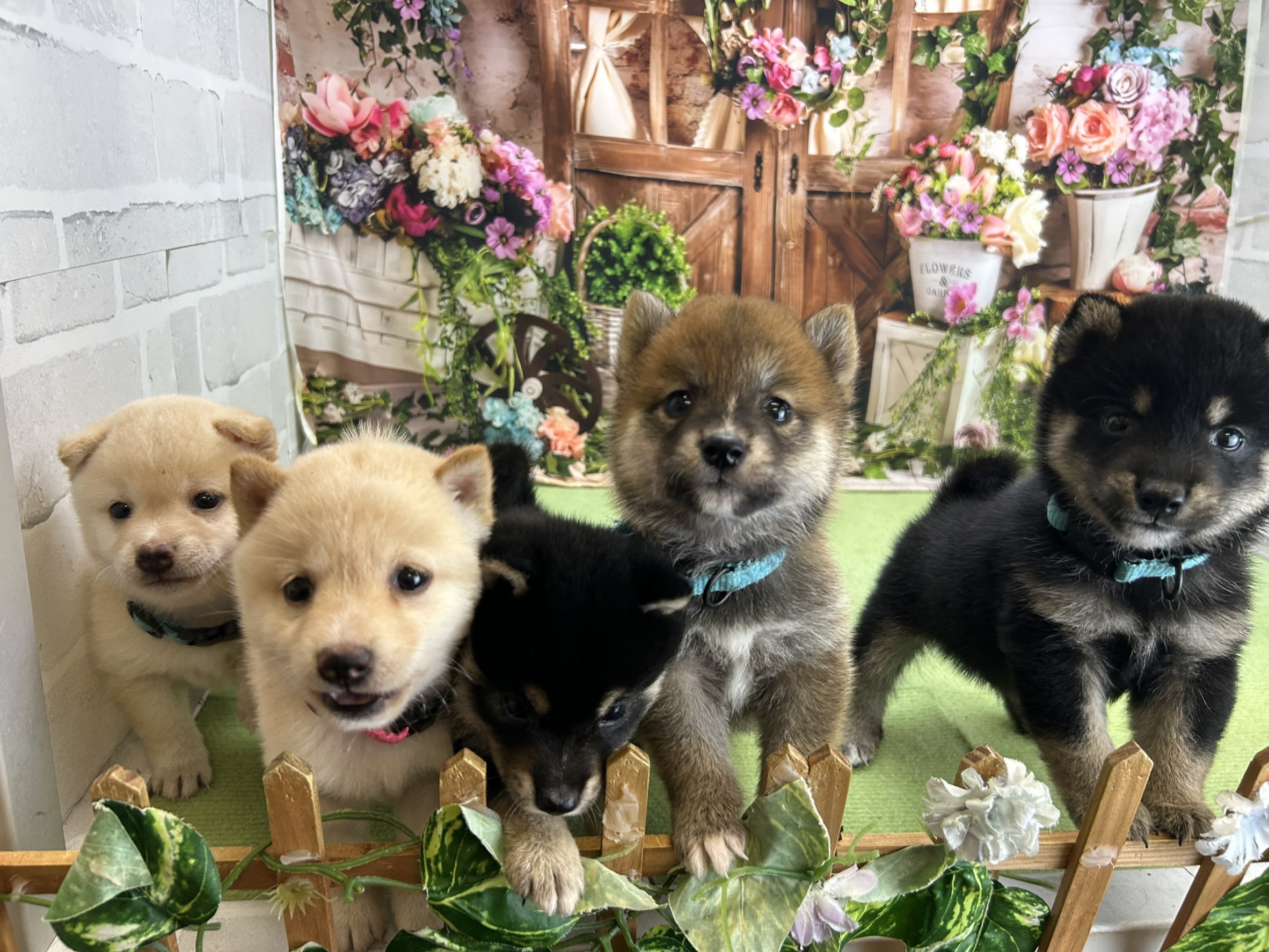 赤ちゃん写真2-3