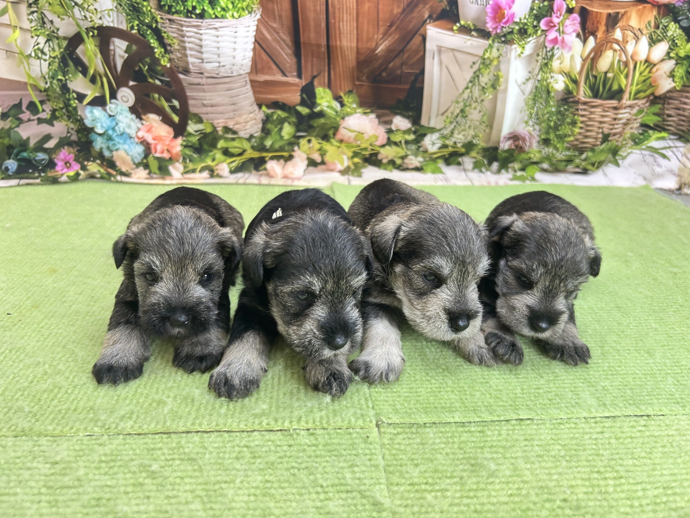 赤ちゃん写真1-3