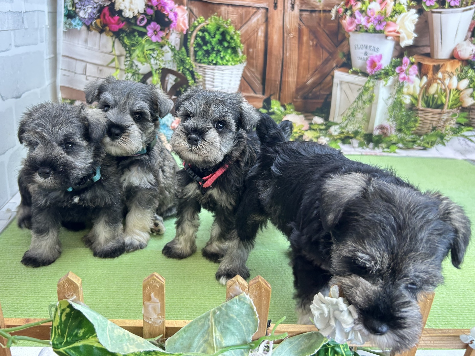 赤ちゃん写真2-3
