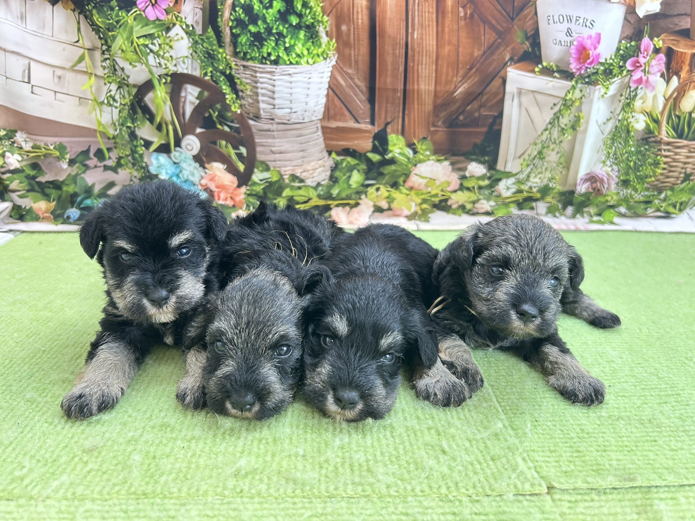 赤ちゃん写真1-3