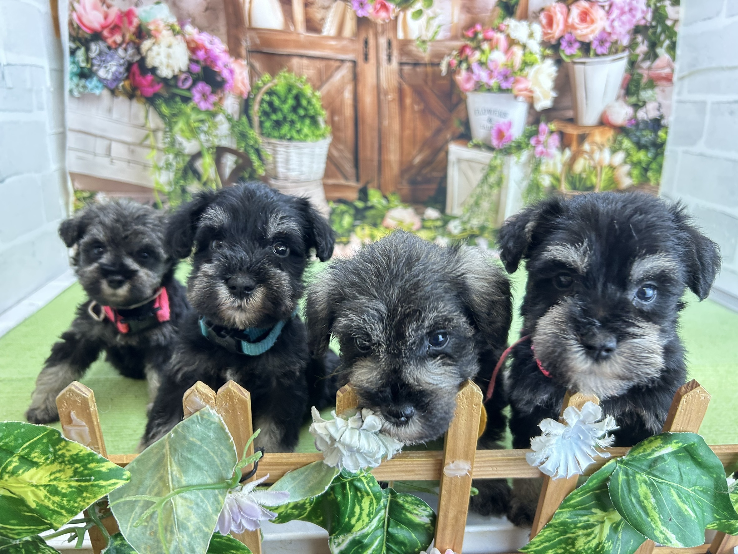 赤ちゃん写真2-3