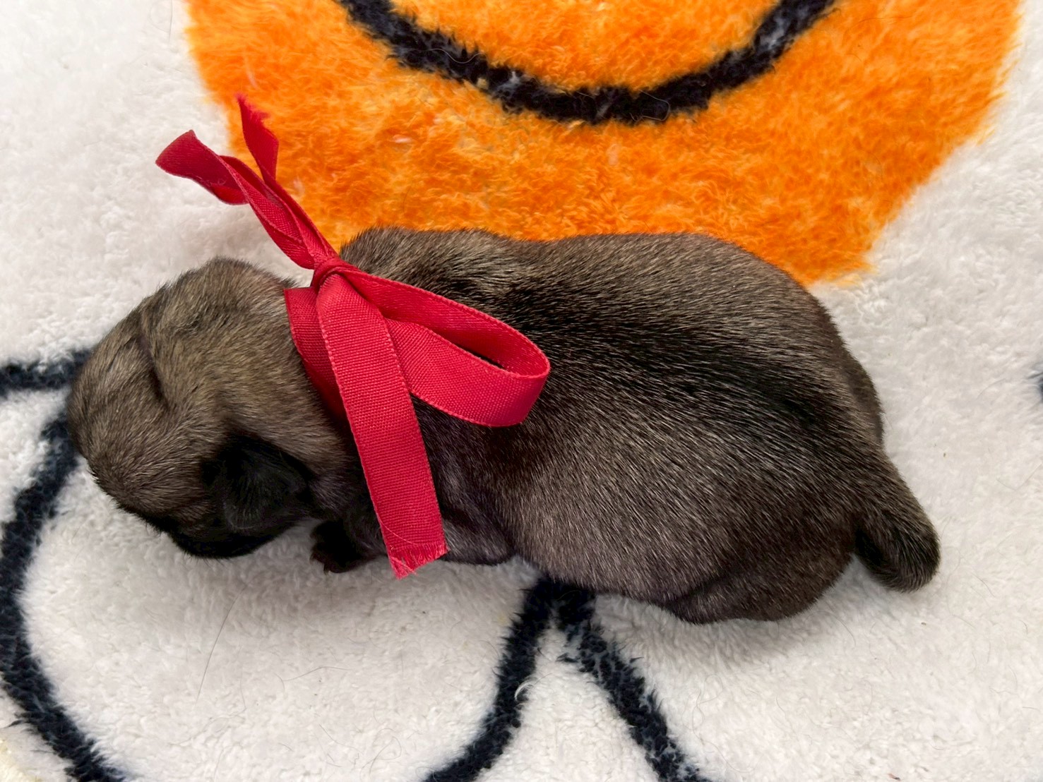 赤ちゃん写真1-3