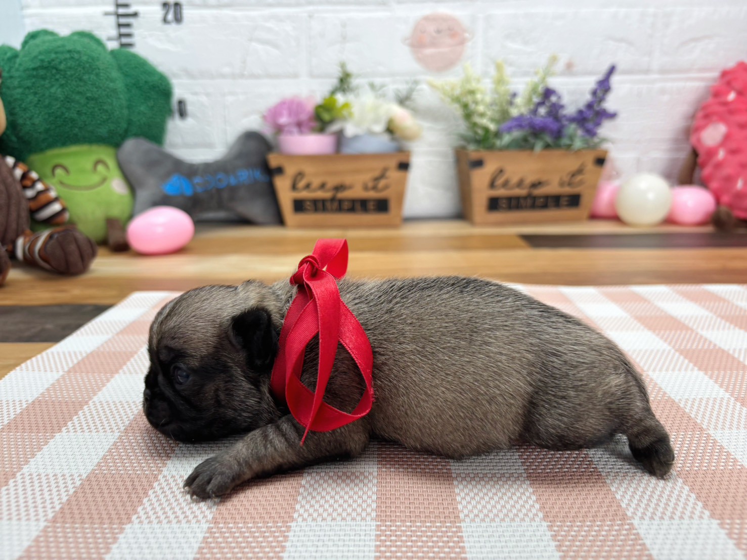赤ちゃん写真2-2
