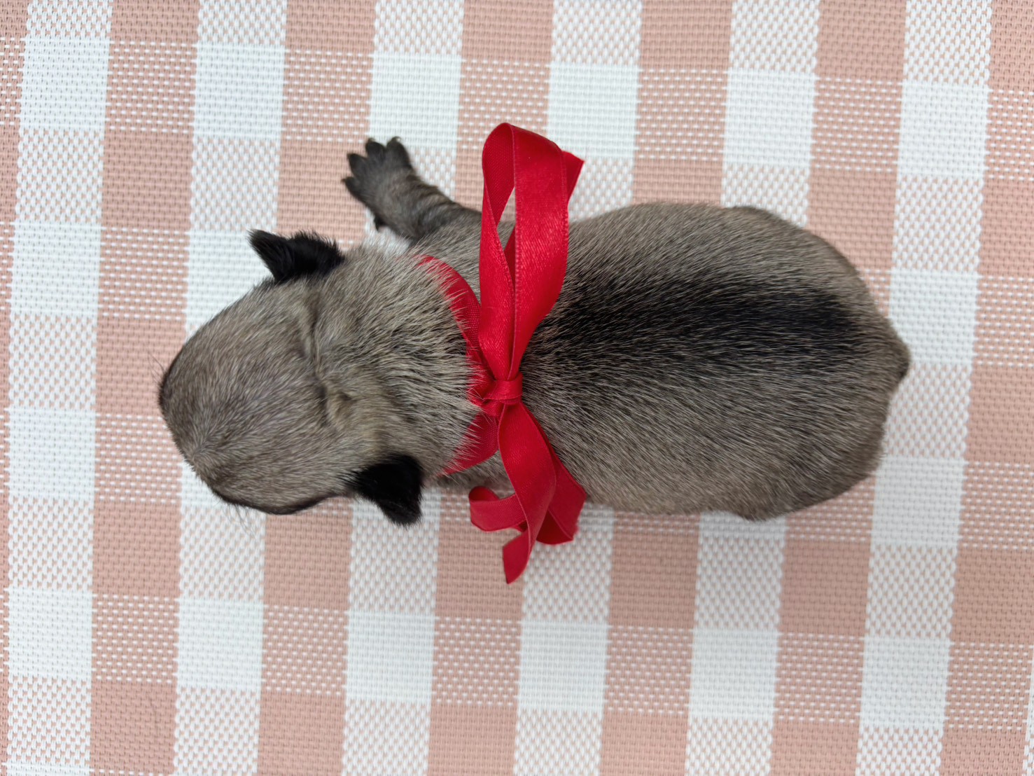 赤ちゃん写真2-3