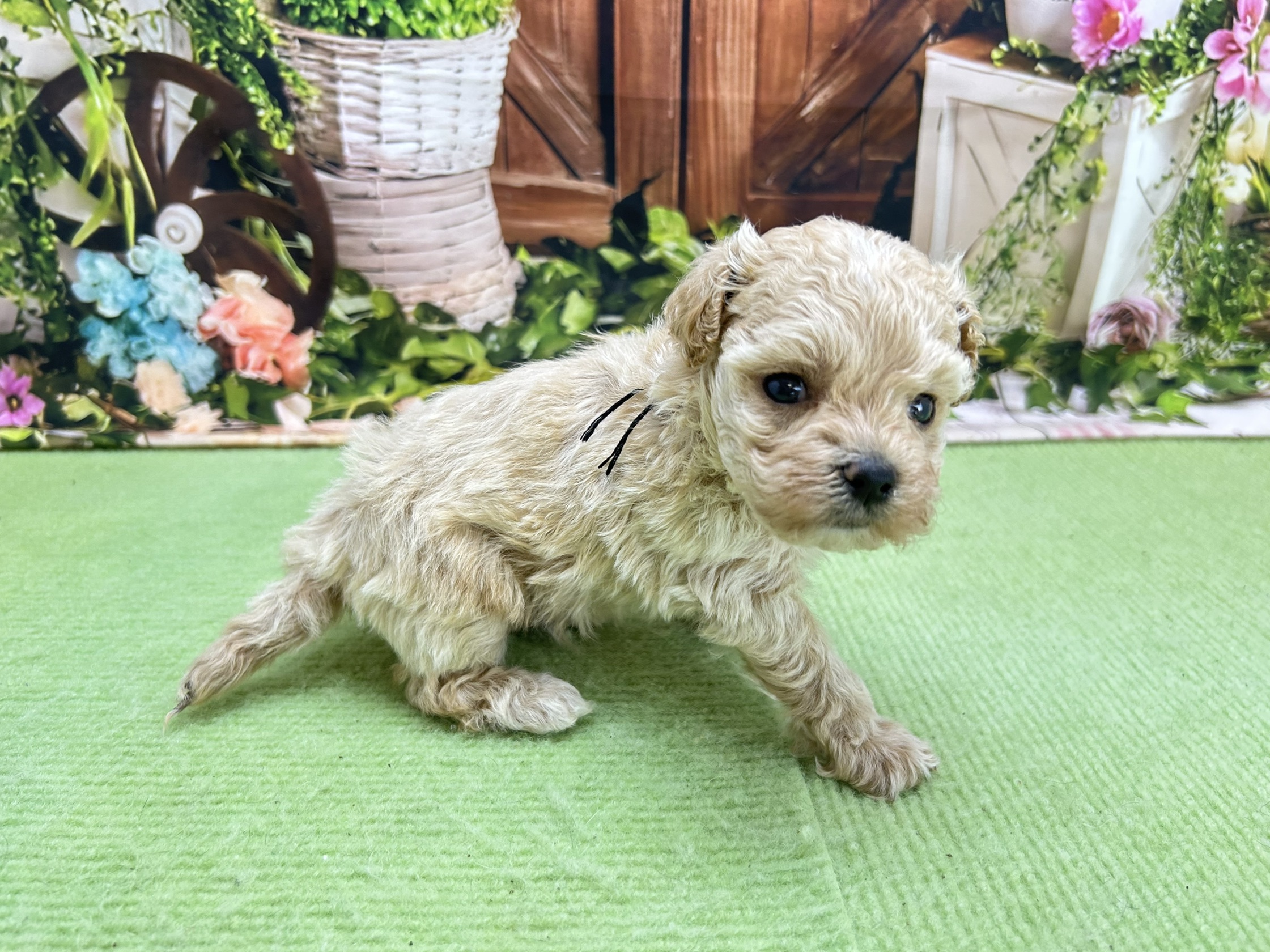 赤ちゃん写真2-2