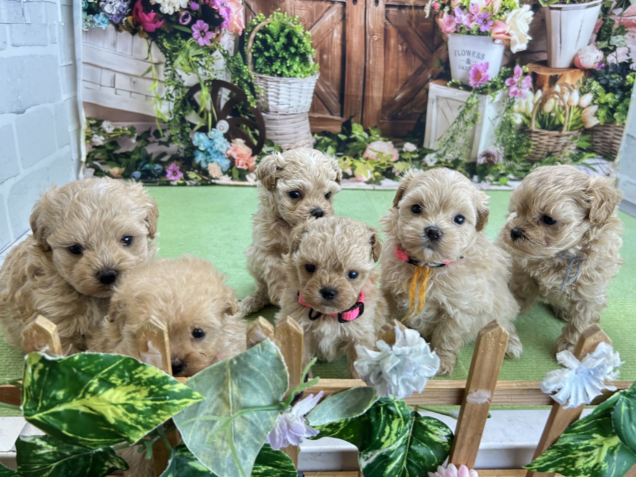 赤ちゃん写真2-3