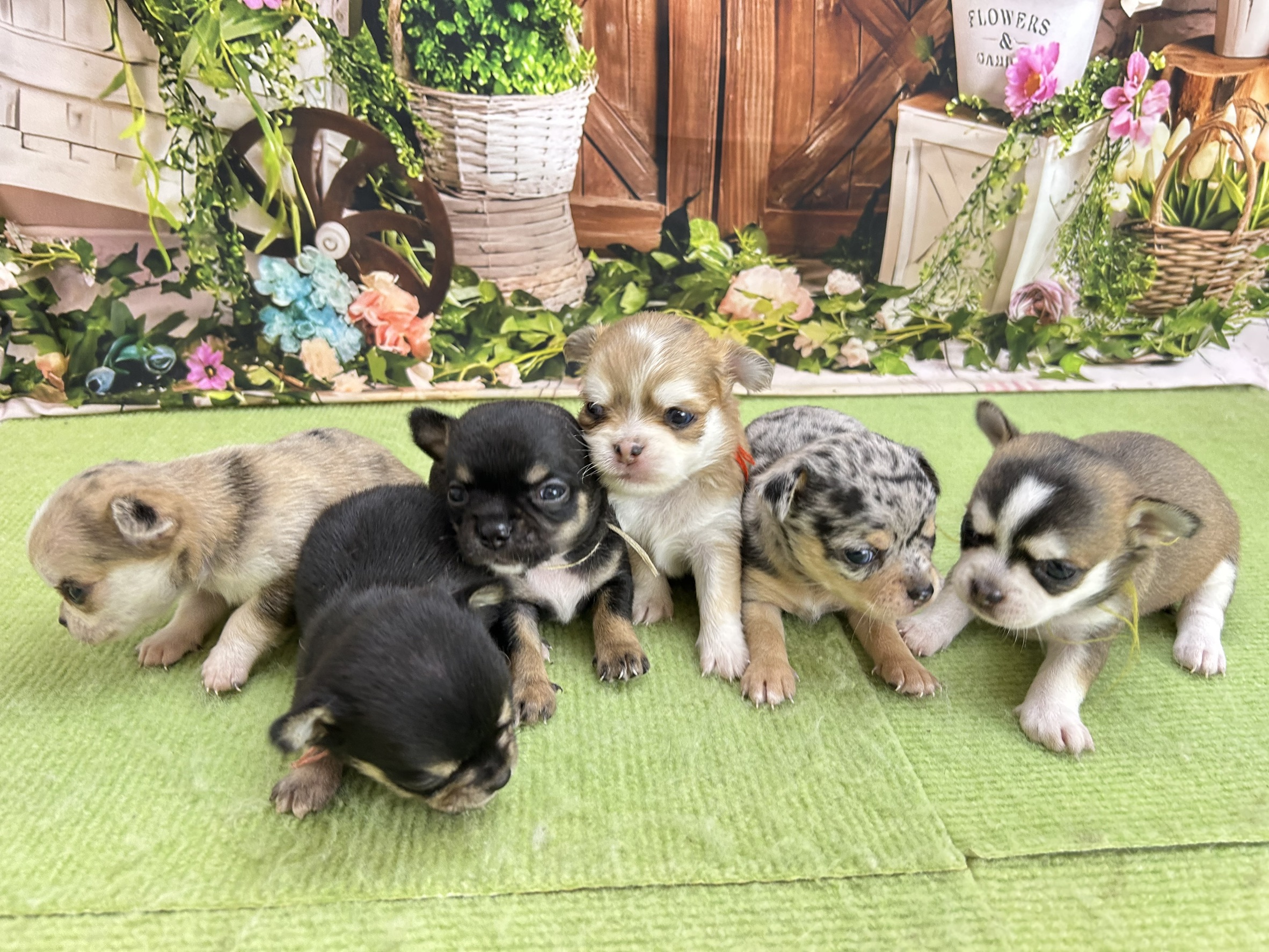 赤ちゃん写真1-3