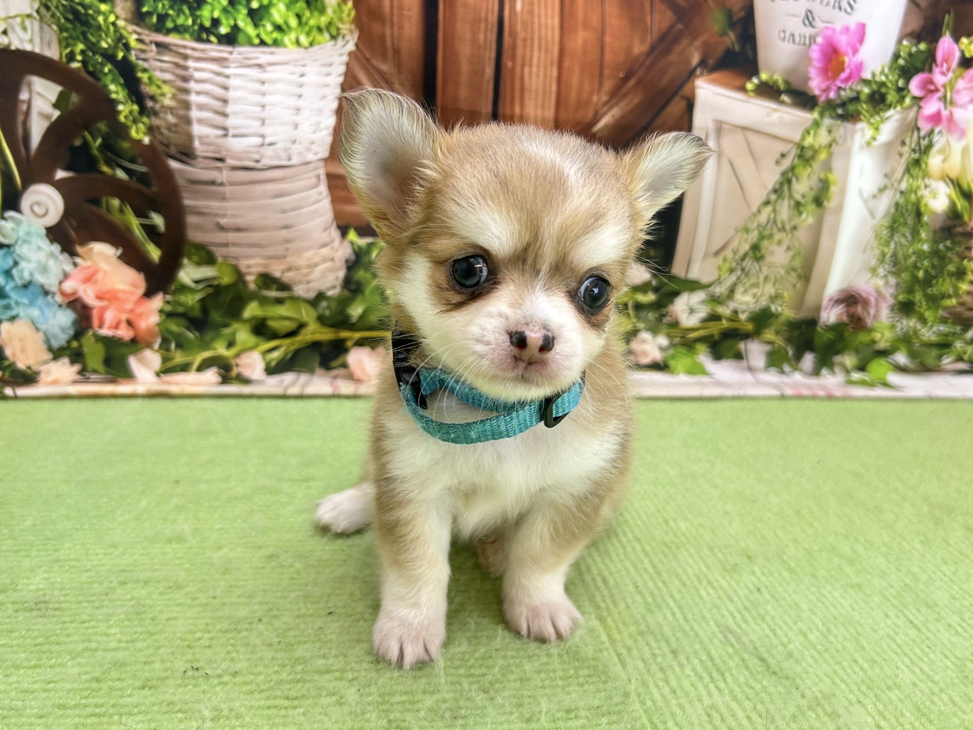 赤ちゃん写真2-1