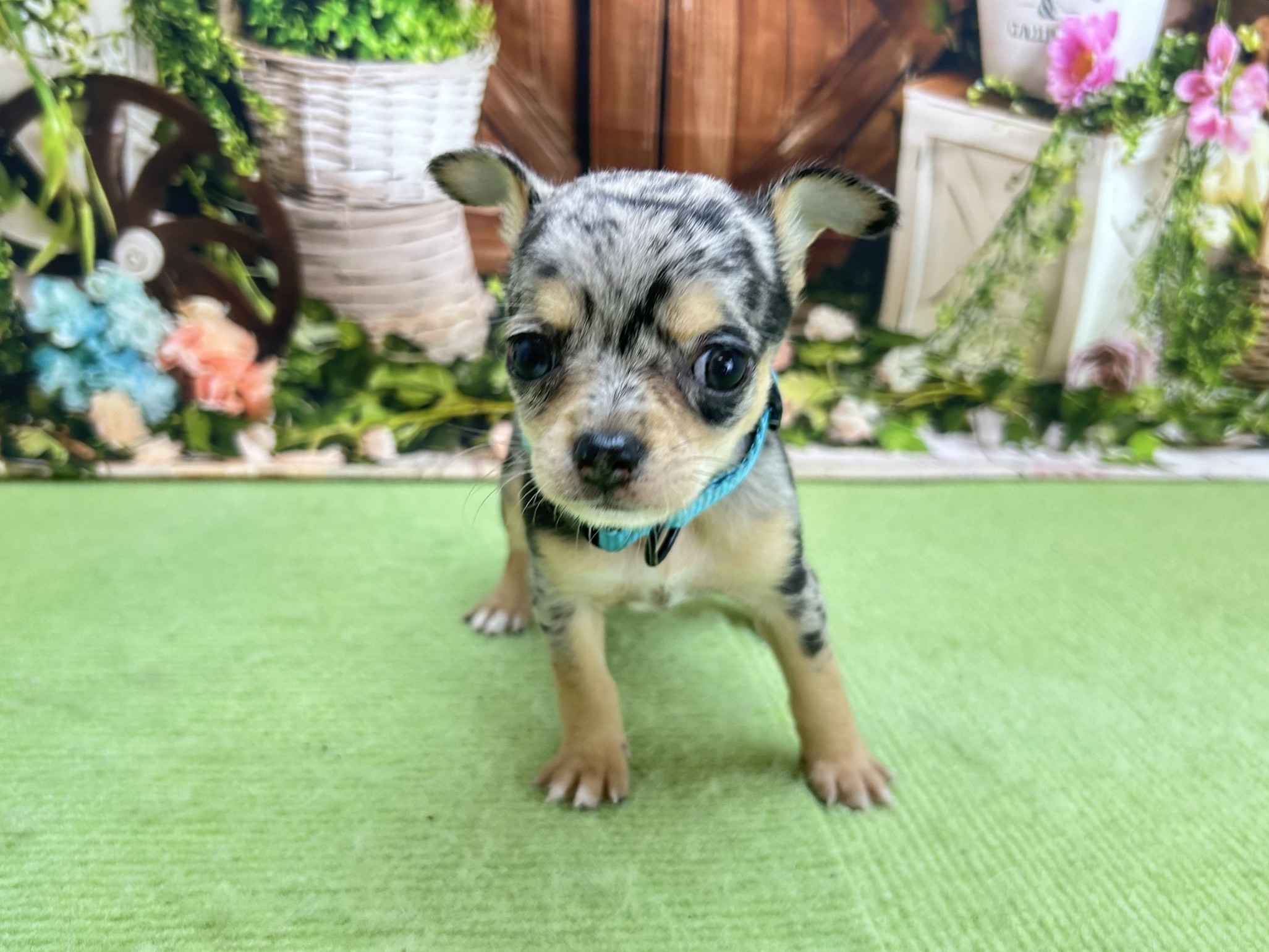 赤ちゃん写真2-1