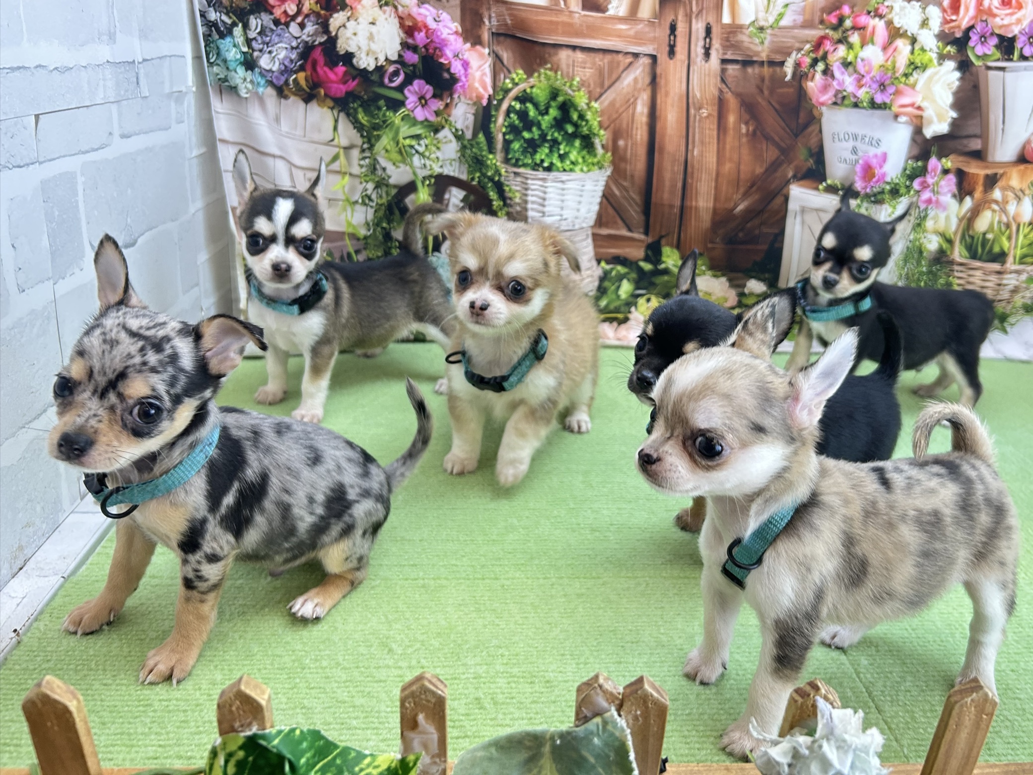 赤ちゃん写真3-3