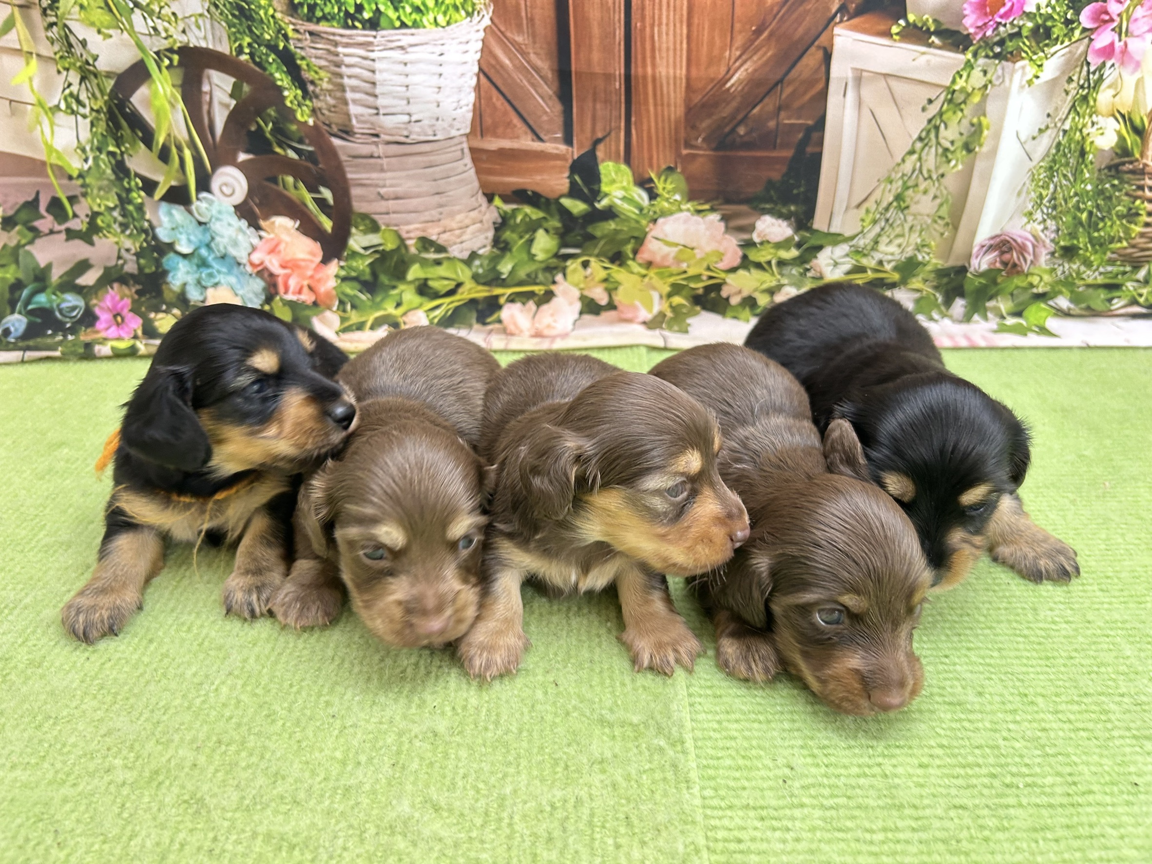 赤ちゃん写真1-3