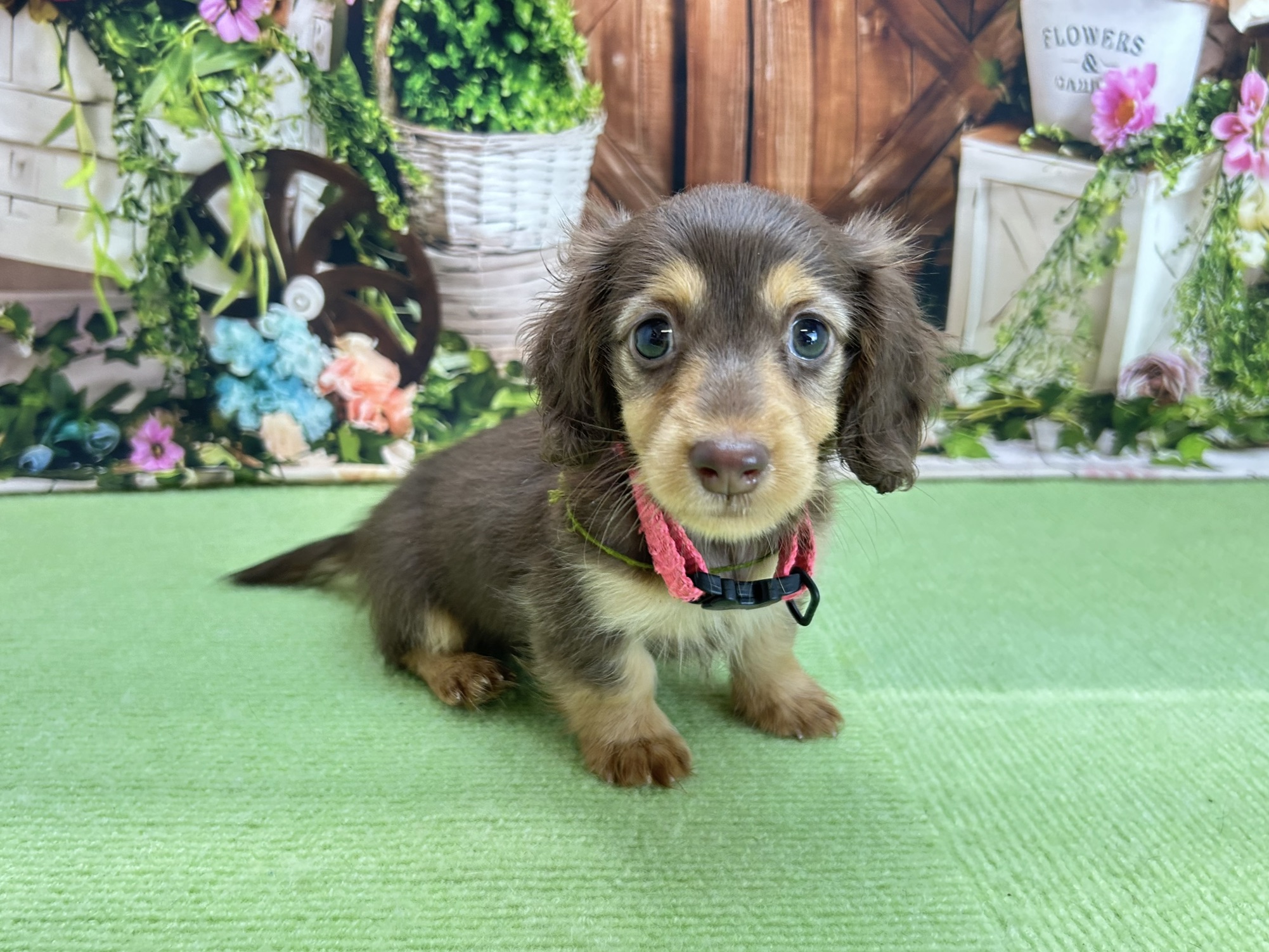 赤ちゃん写真3-2