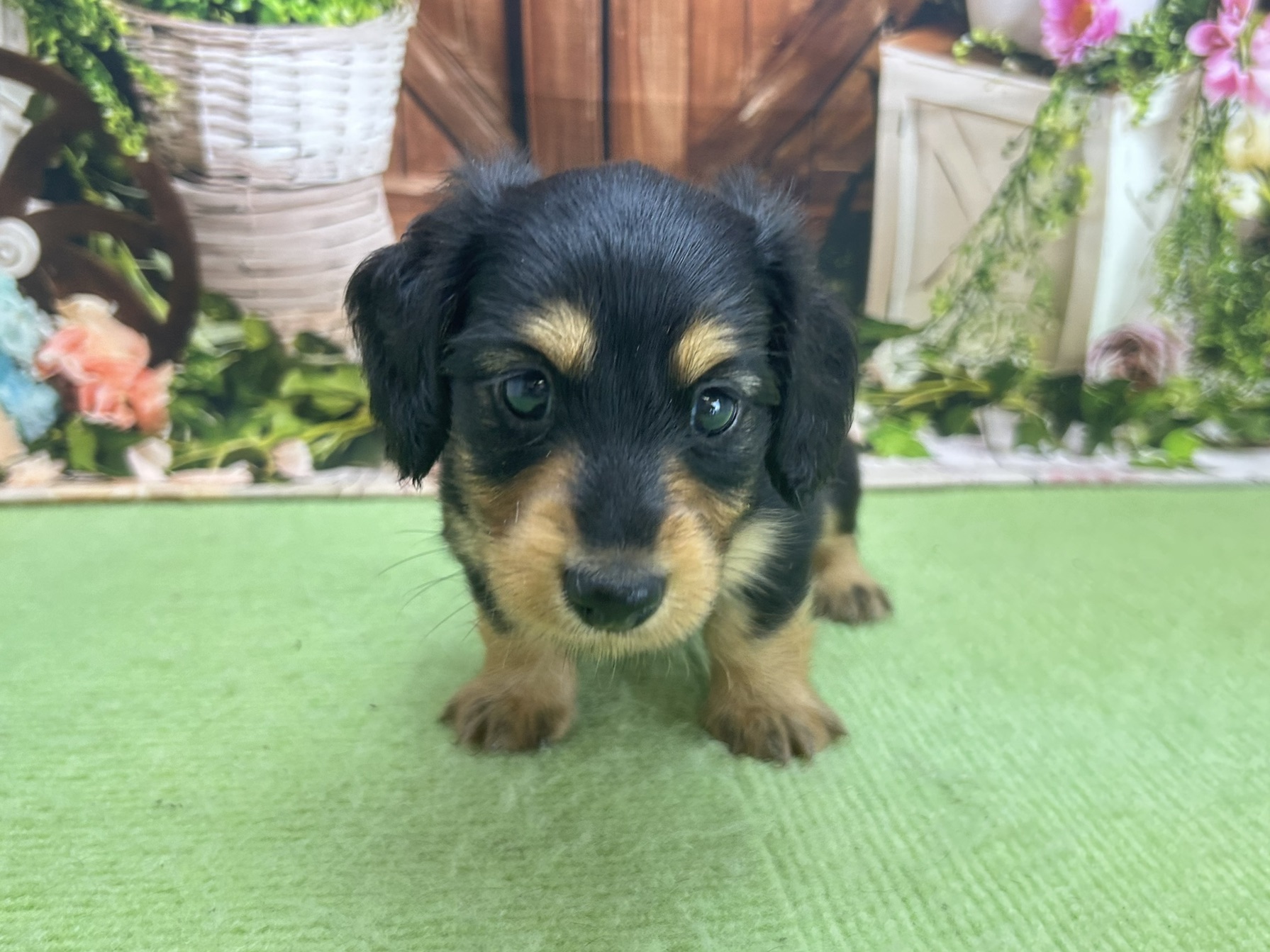 赤ちゃん写真2-1