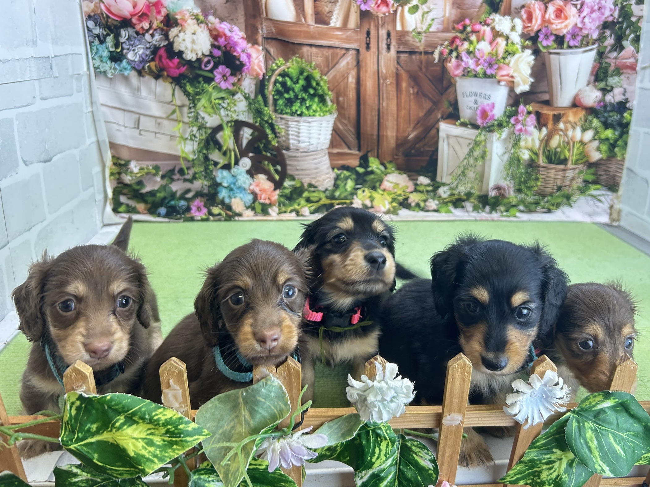 赤ちゃん写真2-3