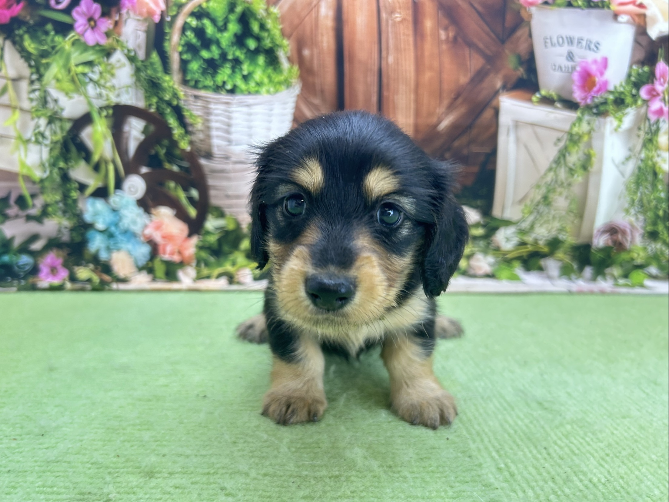 赤ちゃん写真2-1